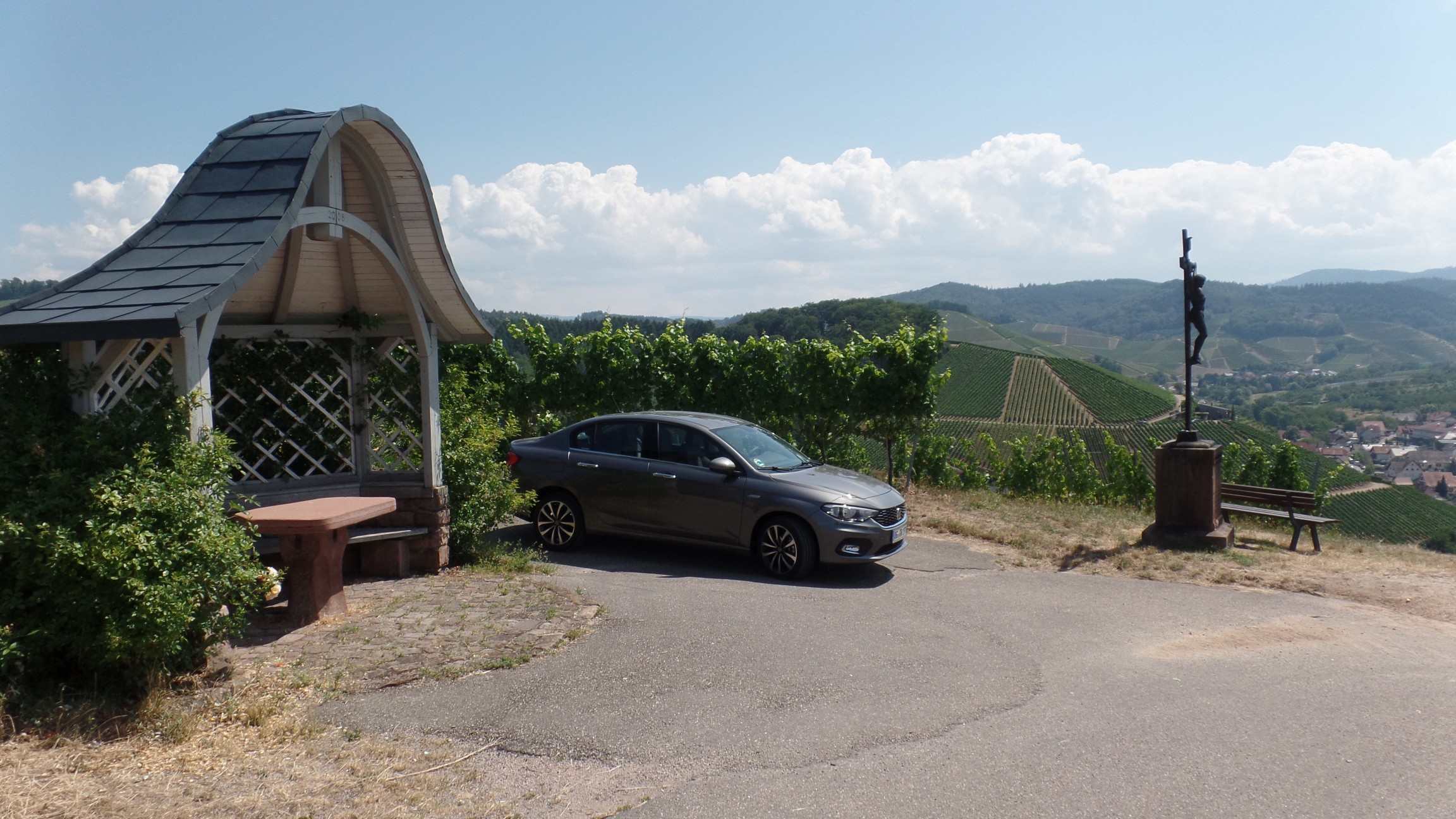 Der Tipo und die Weinberge über Durbach