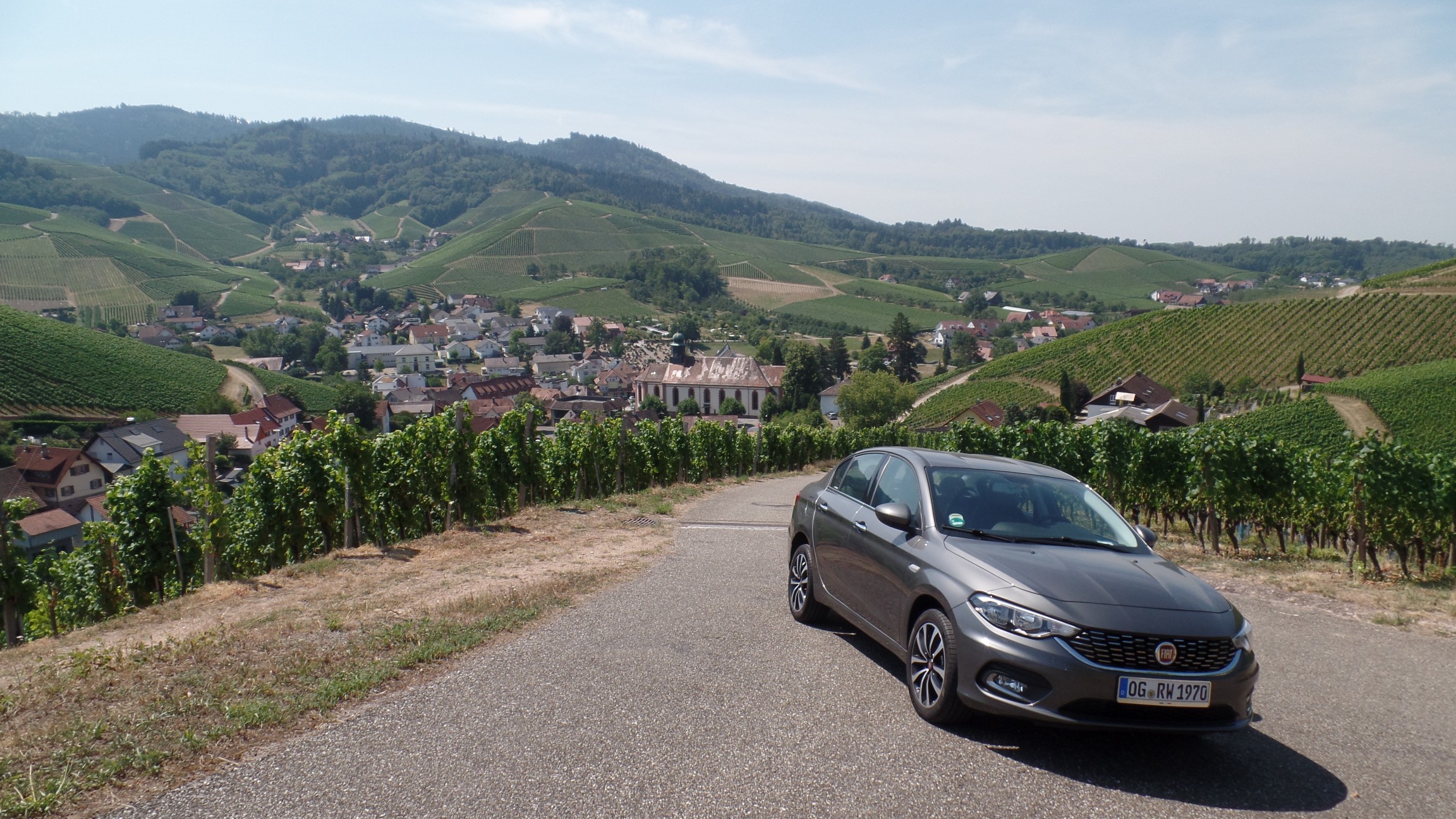 Der Tipo und die Weinberge über Durbach