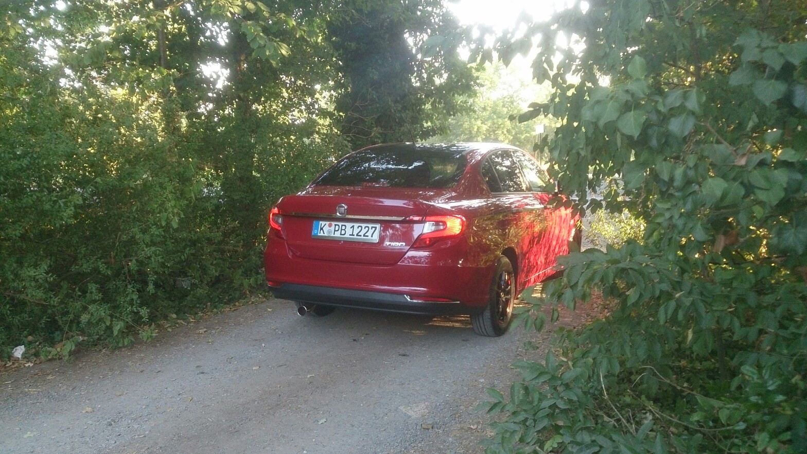 Morgendliche Waldbesichtigung