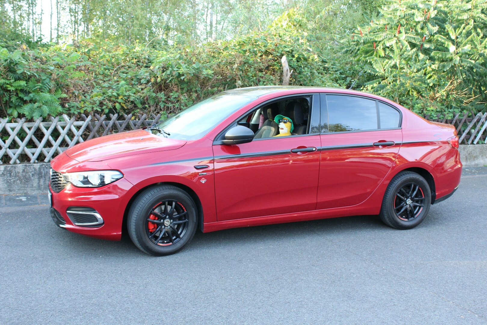 Flat Eric gefällt der Tipo