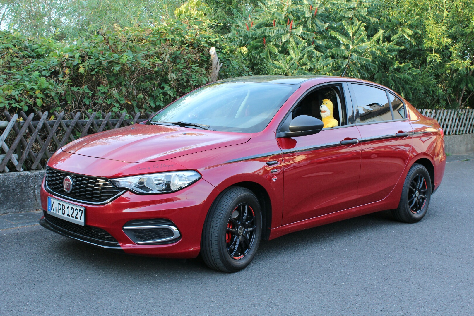 Flat Eric gefällt der Tipo