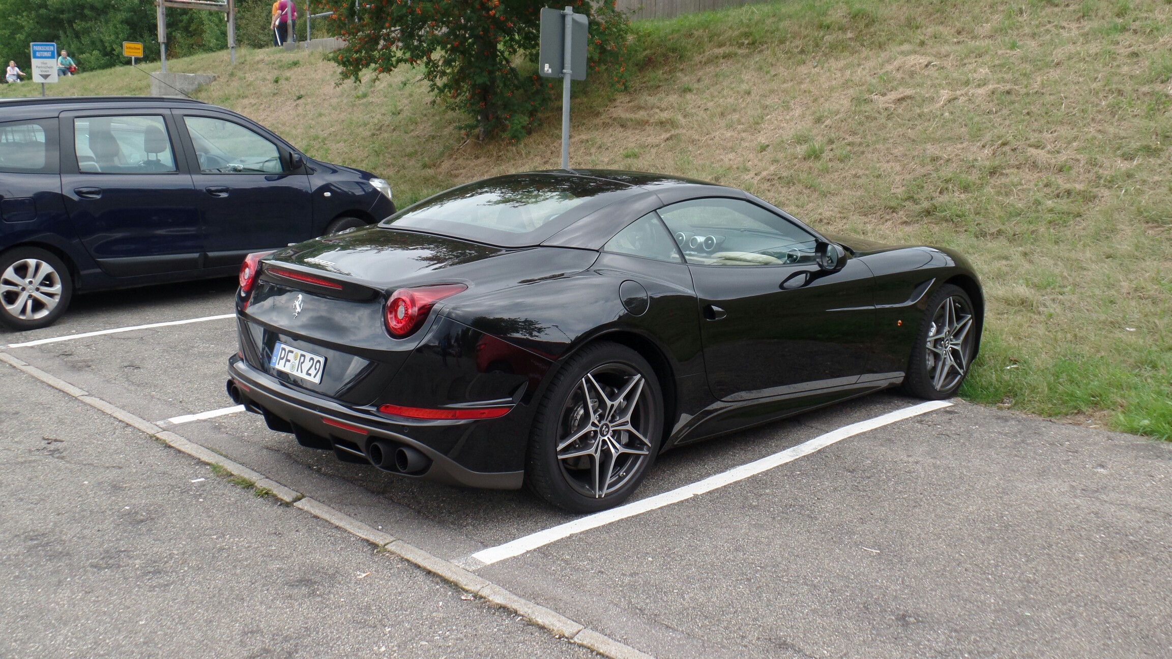 Heute waren wir am Schluchsee in guter Gesellschaft