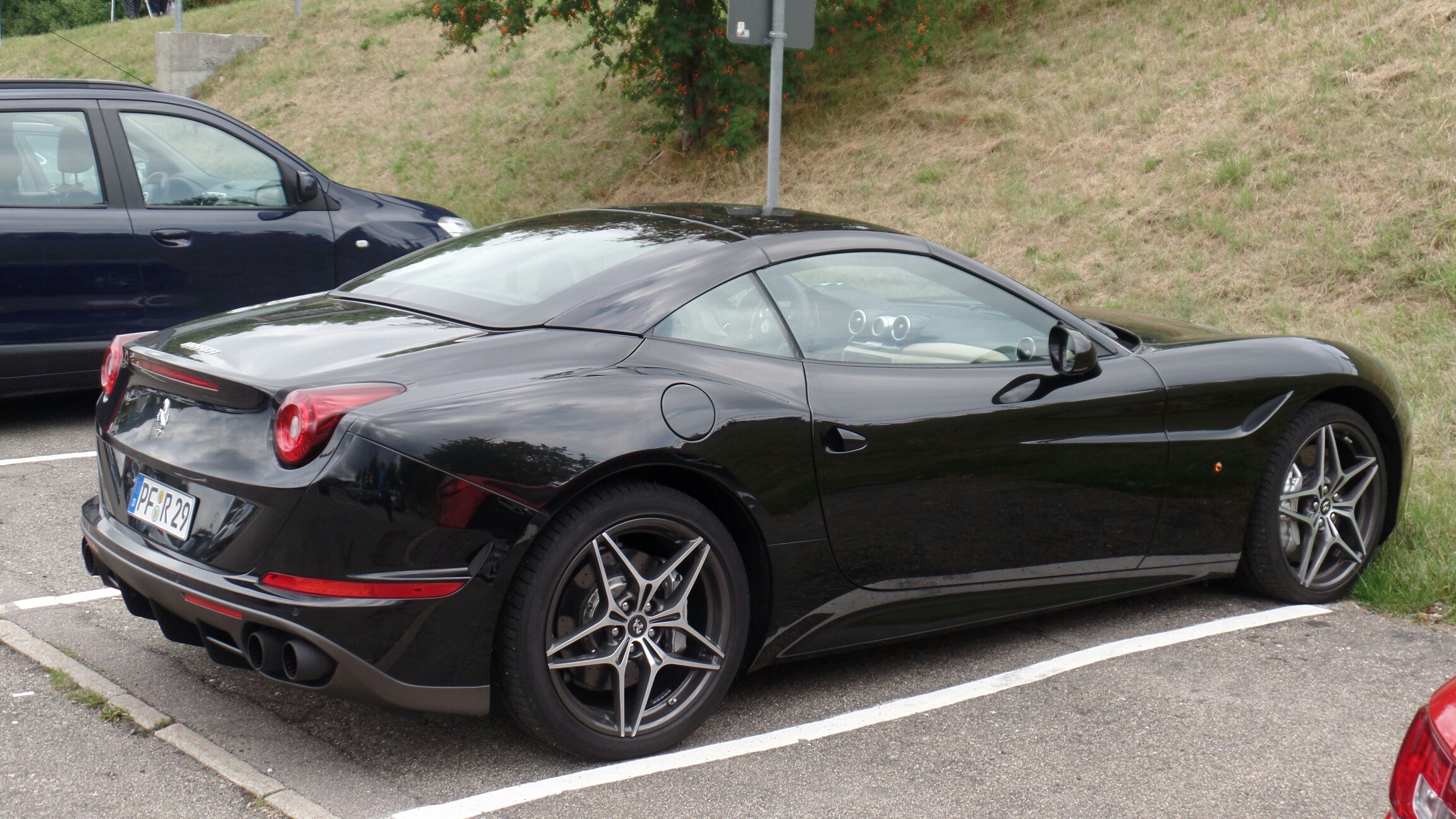 Heute waren wir am Schluchsee in guter Gesellschaft