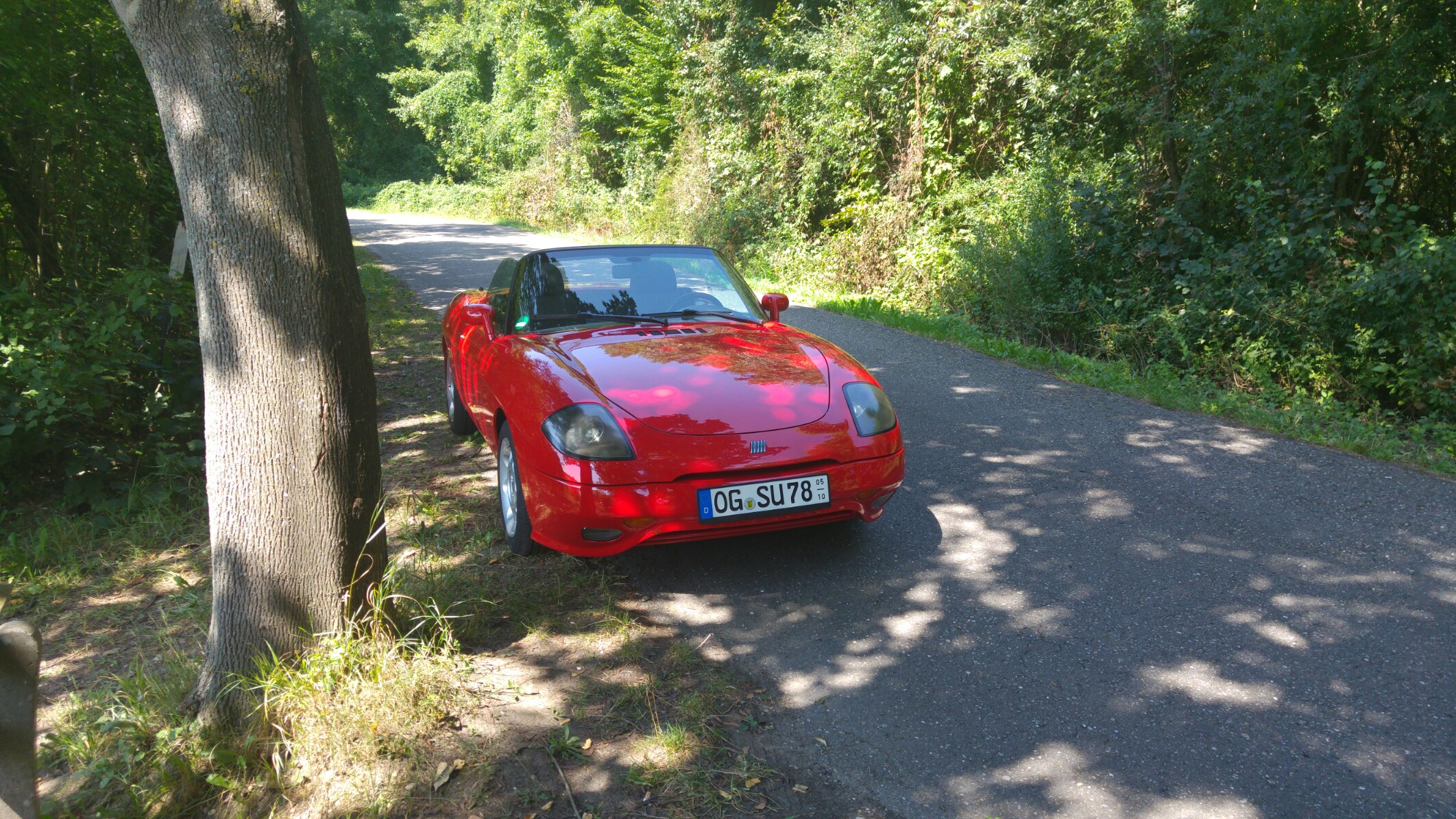 Ein Tag am See mit der alten Dame