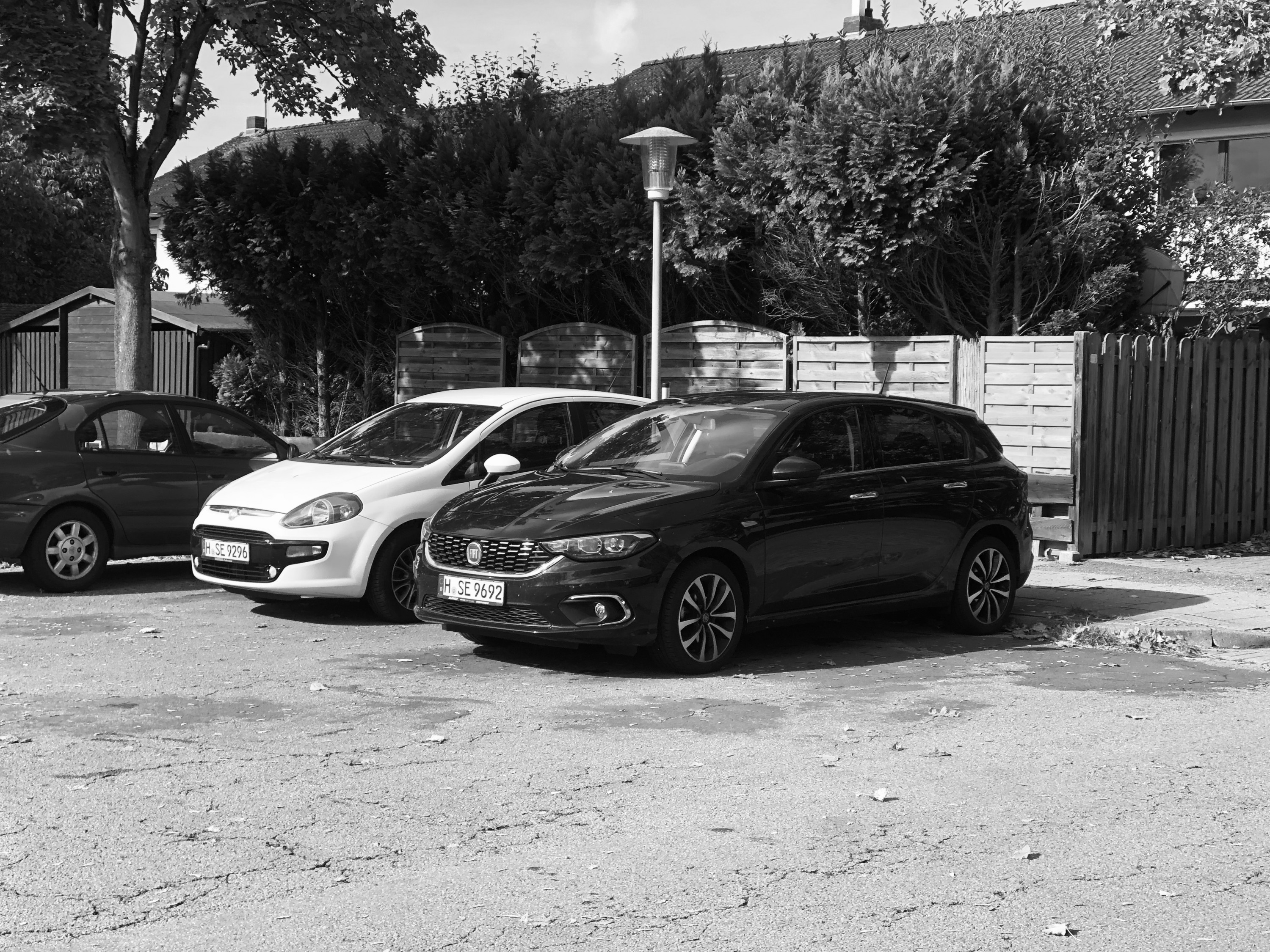 Black and White in black and white