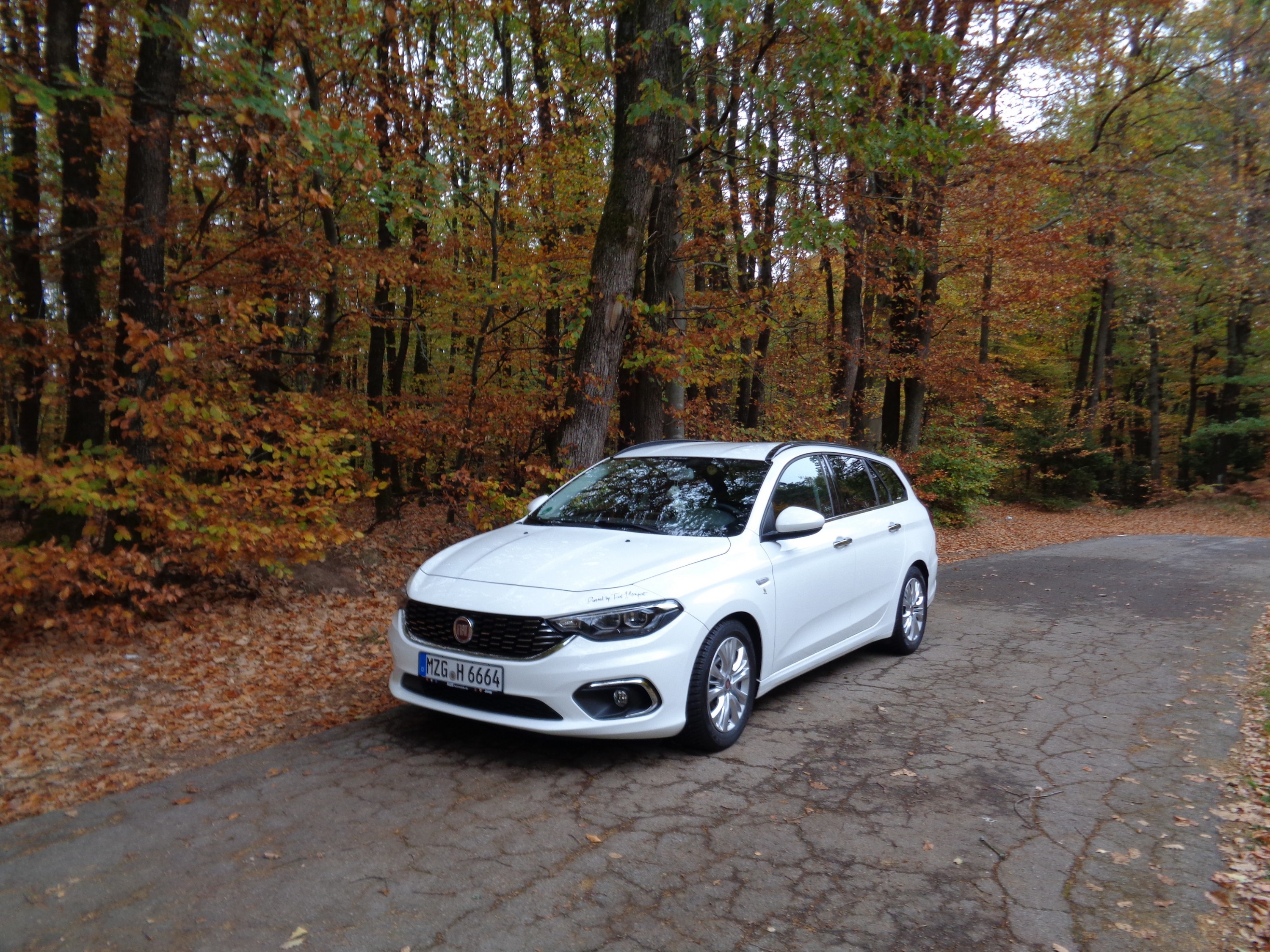 Für Bilderwettbewerb 10/2018