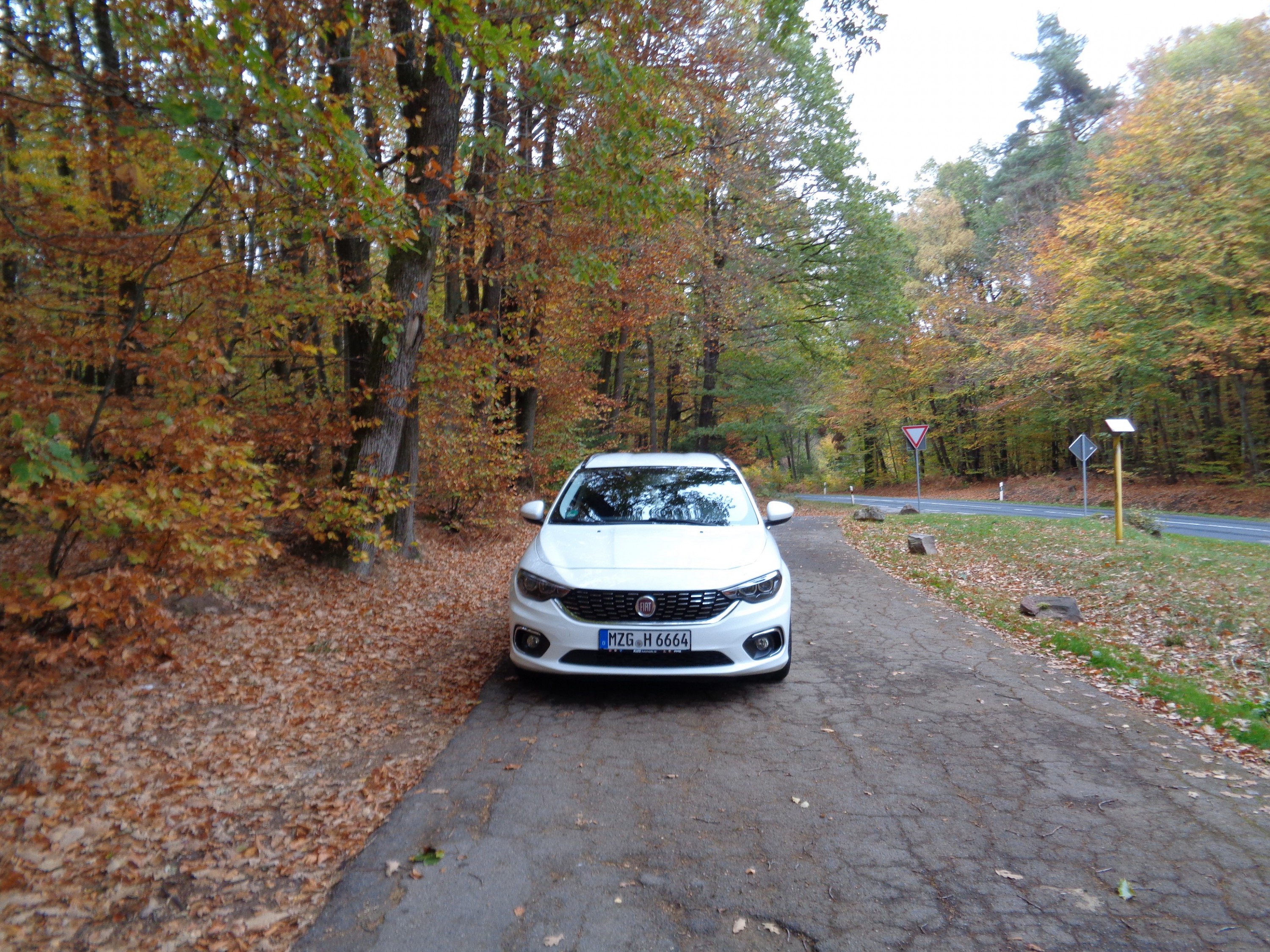 Für Bilderwettbewerb 10/2018