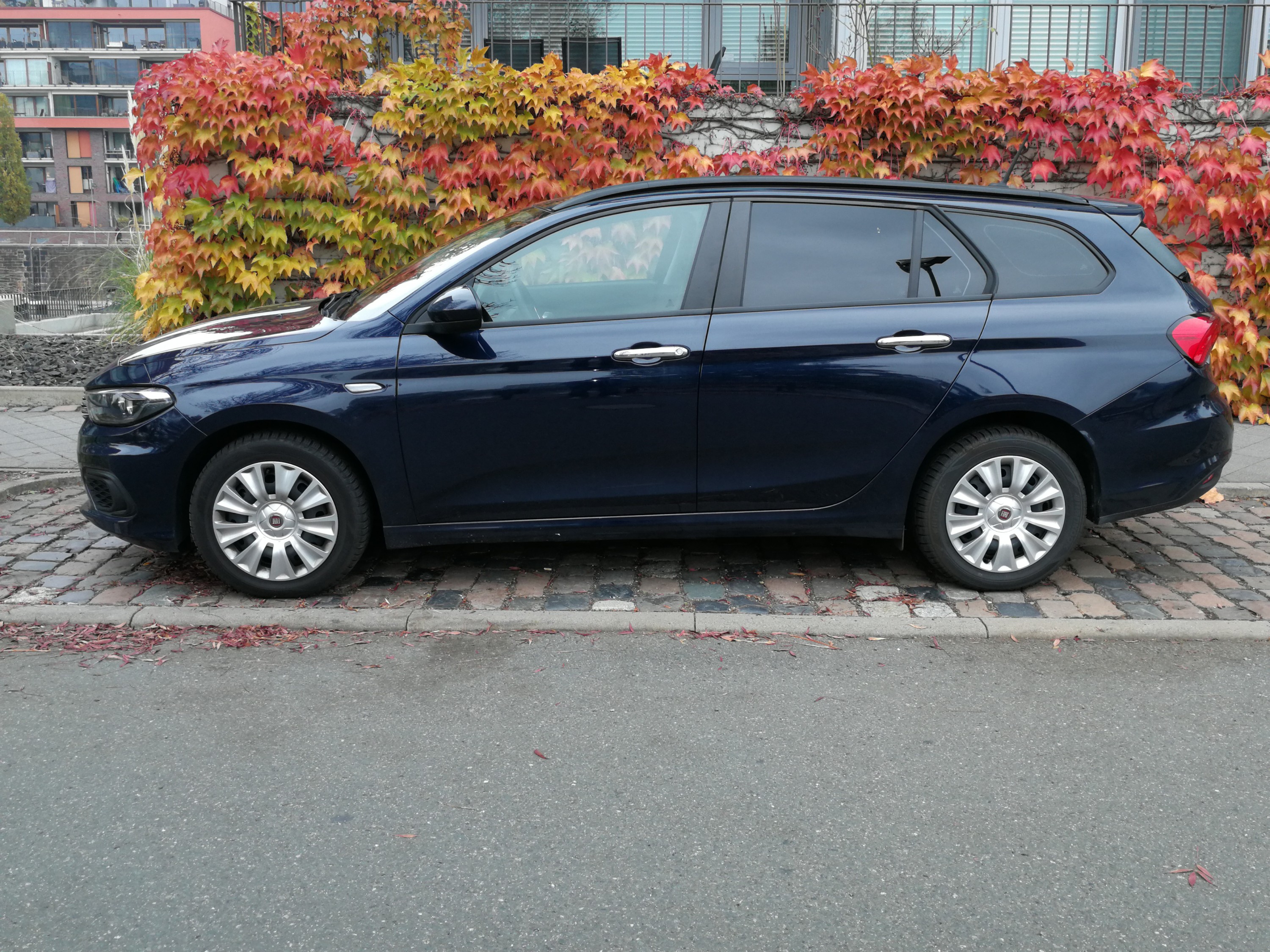 In Frankfurt gibt es auch bunte Blätter