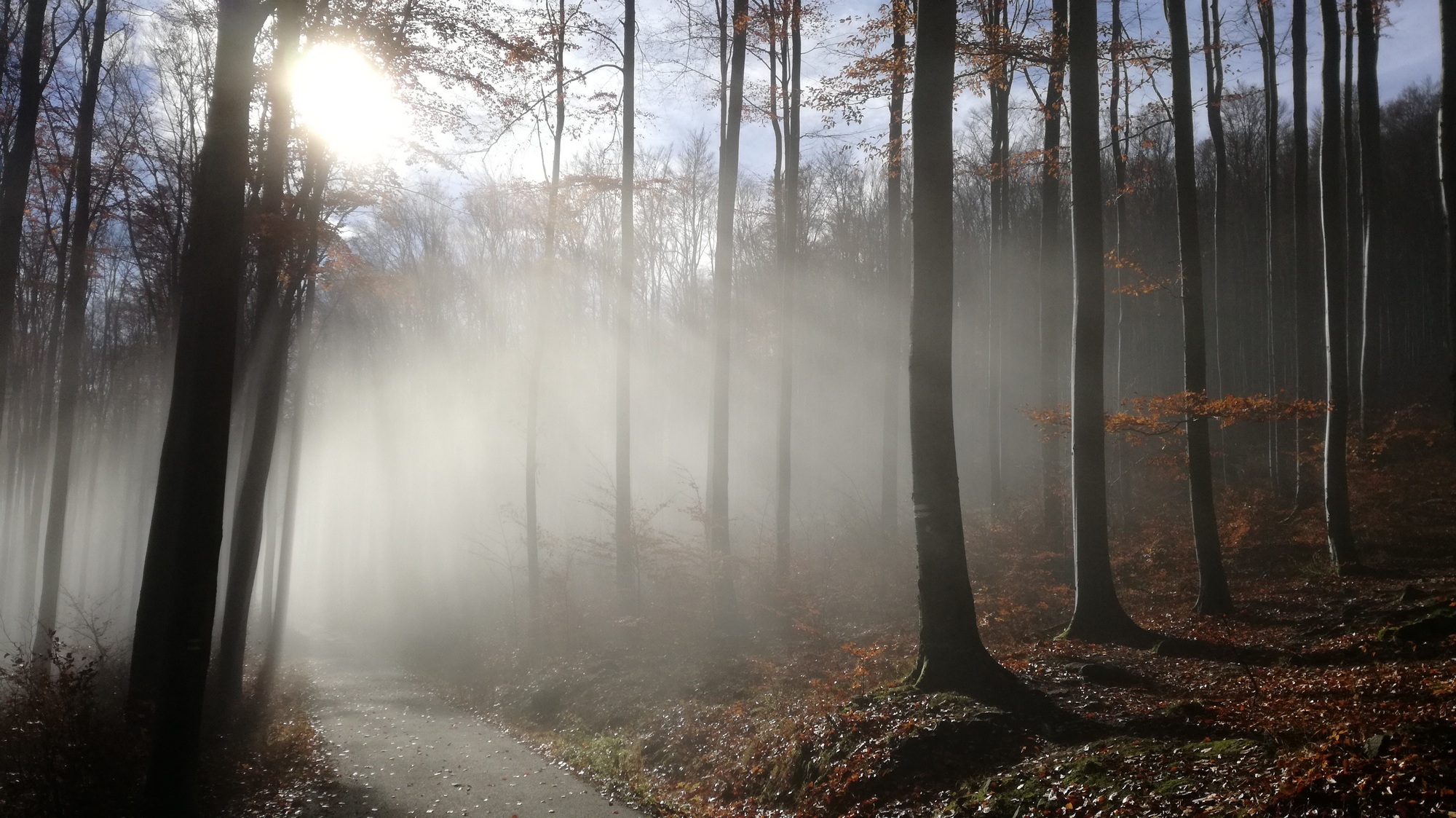 Nochmals zum Thema Herbst