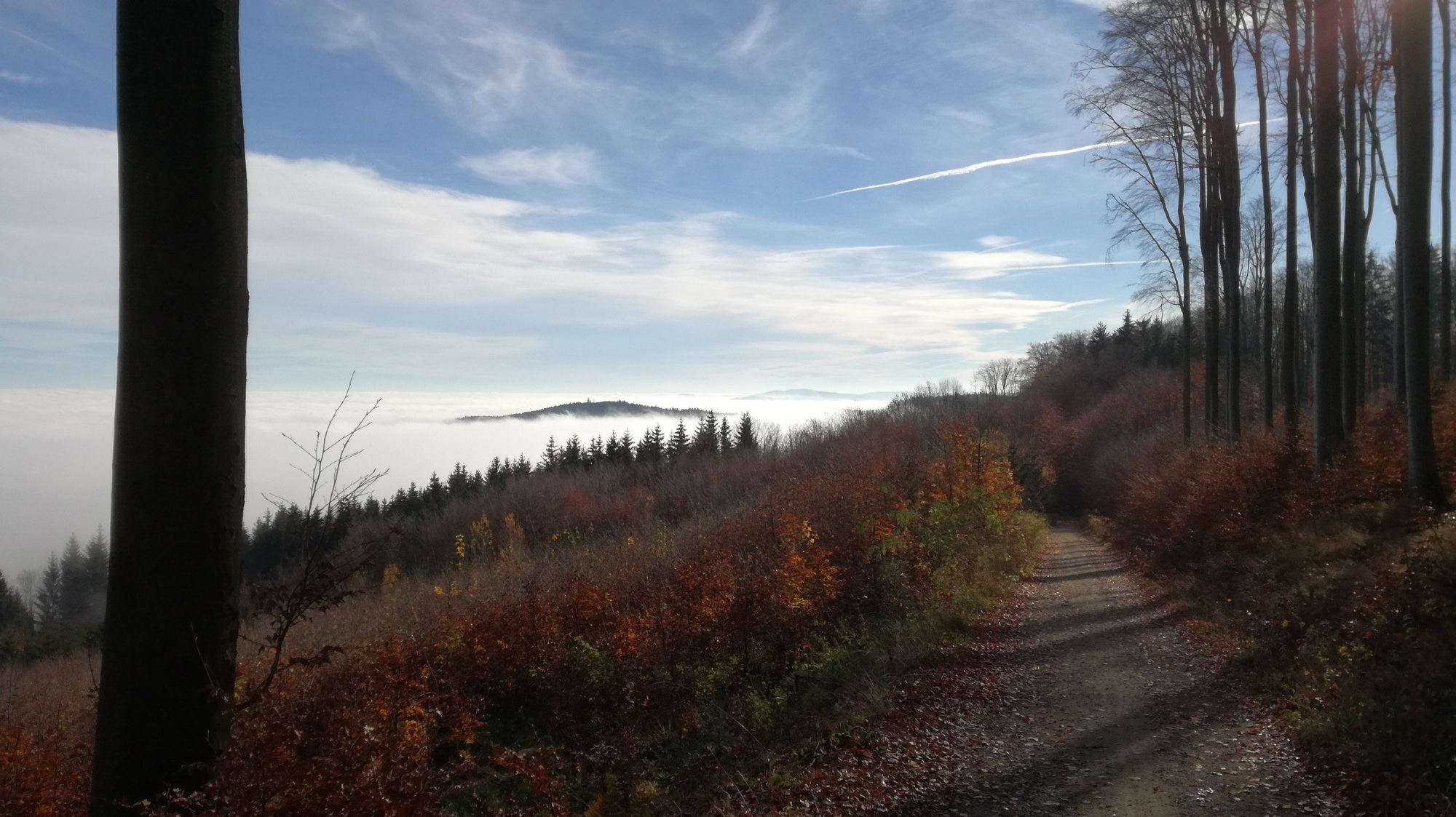 Nochmals zum Thema Herbst