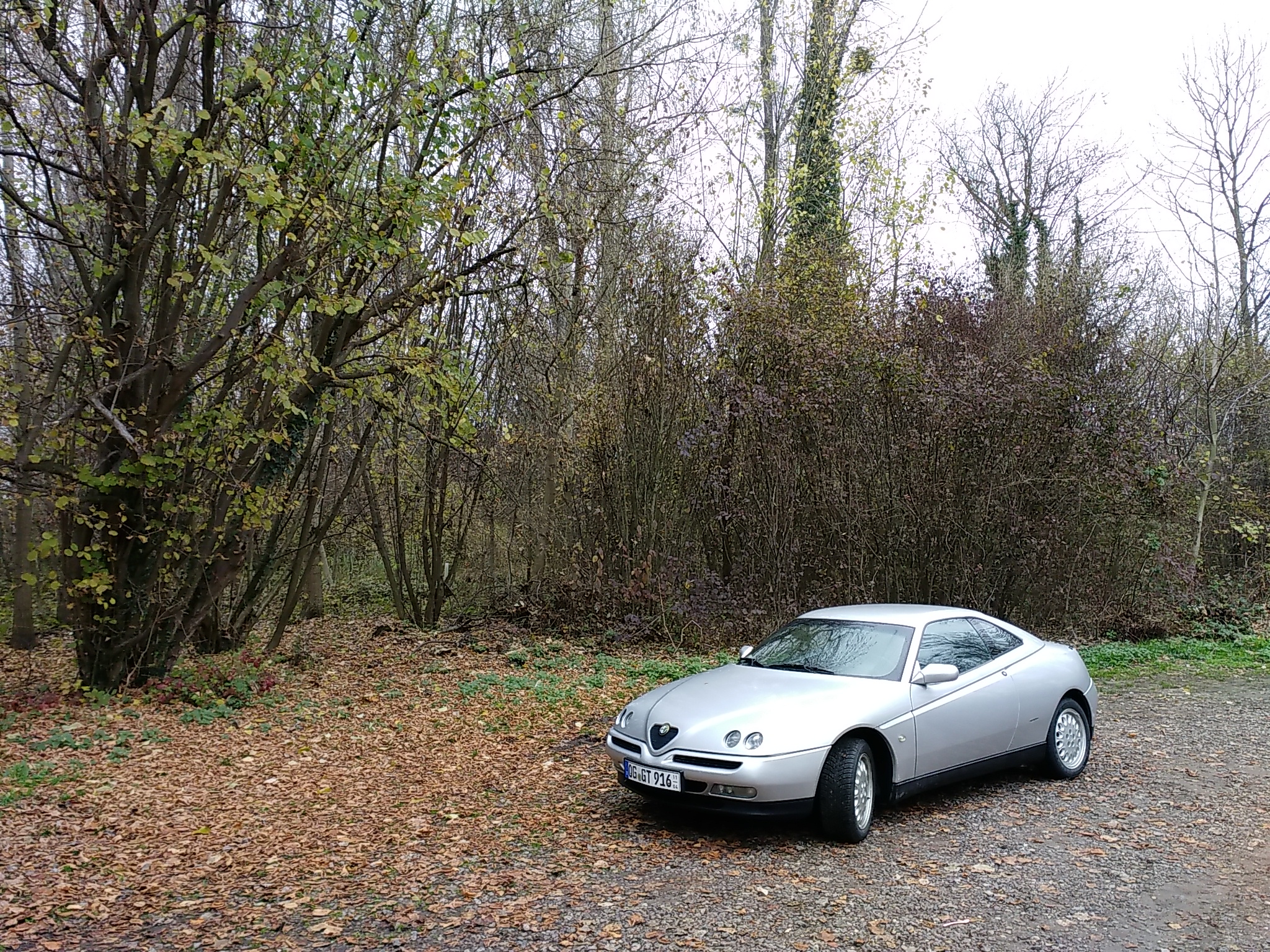 Unterwegs im Rheinwald mit dem alten Winterschlitten