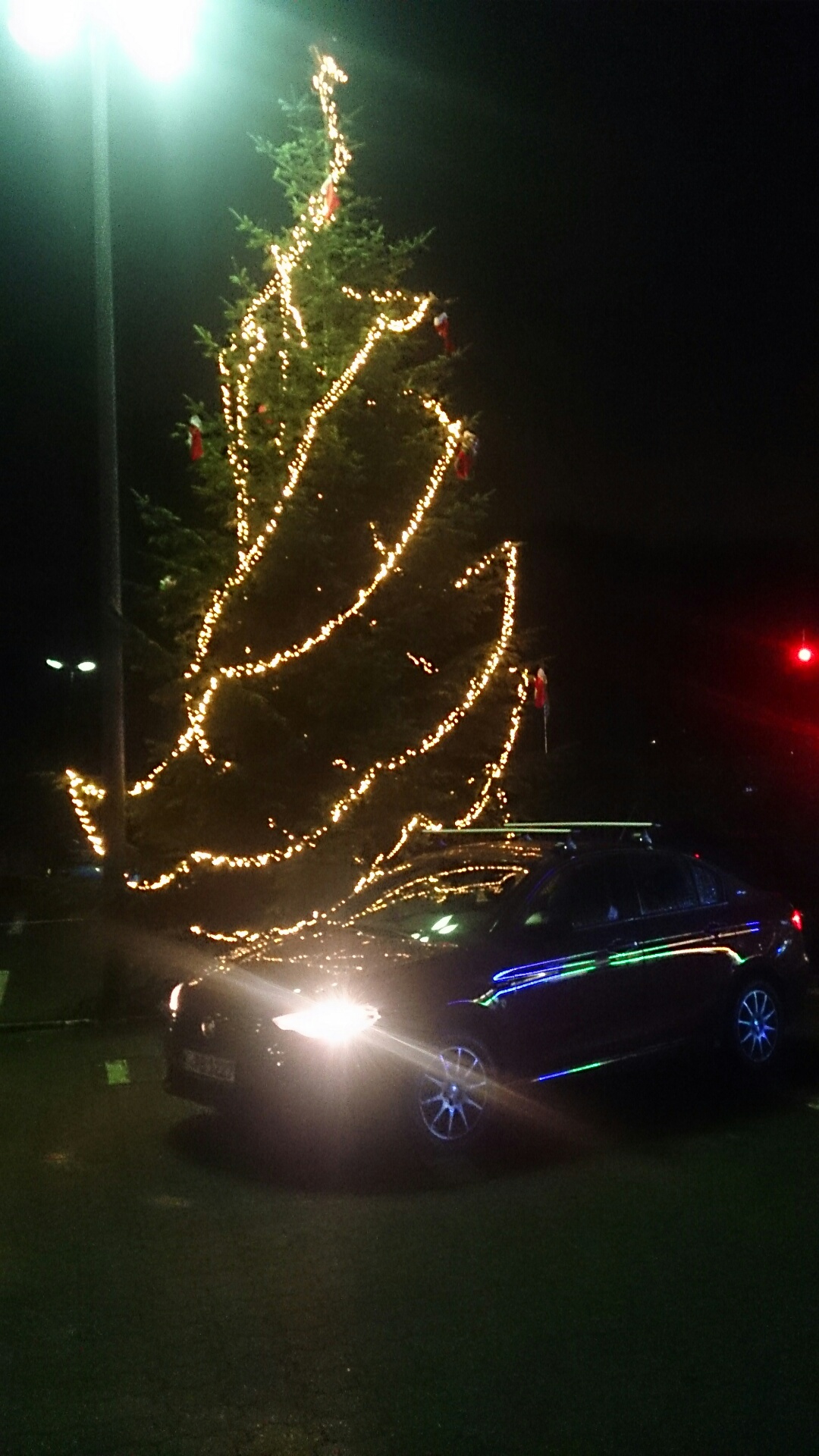 Tipo vor Weihnachtsbaum