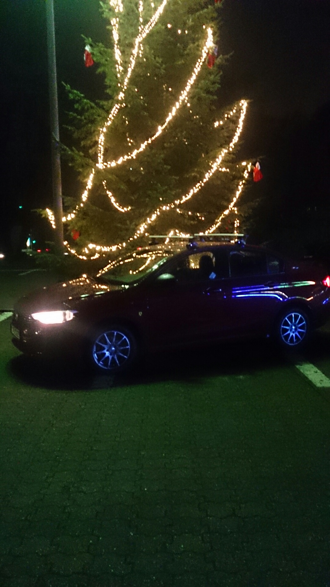 Tipo vor Weihnachtsbaum