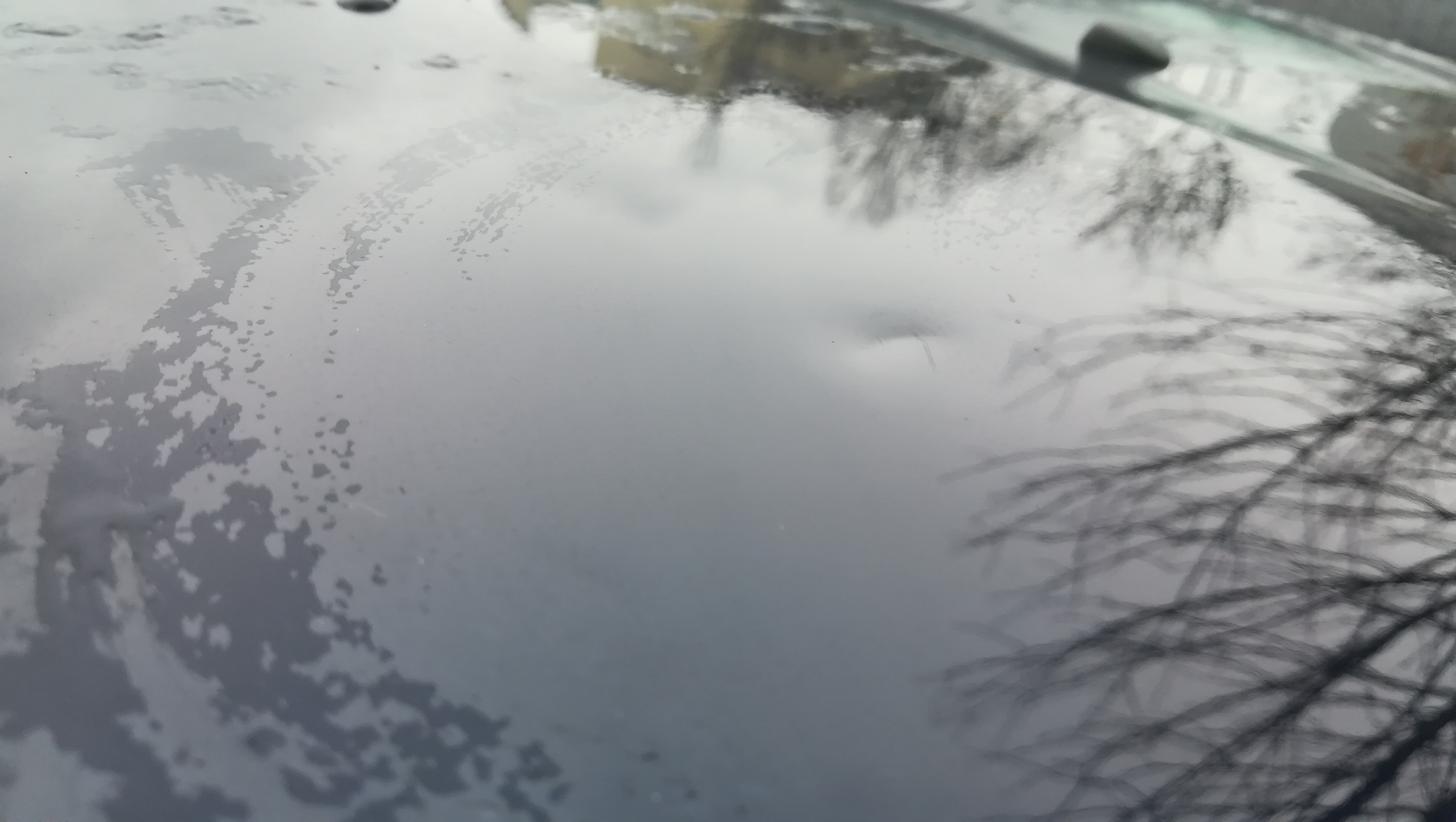 Scheiß Böller, armer Tipo