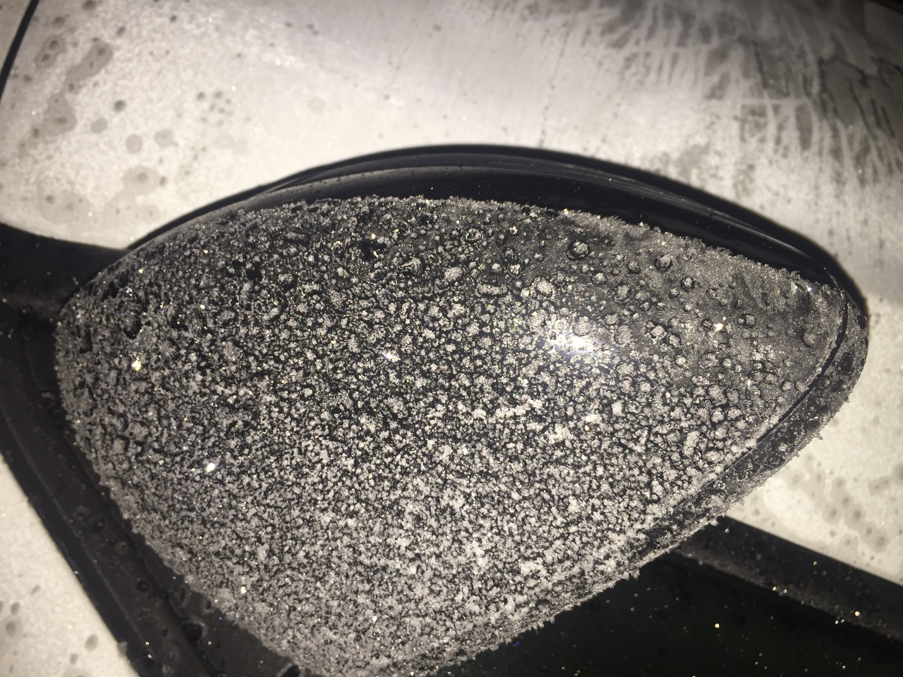 Tipo ist eingefroren