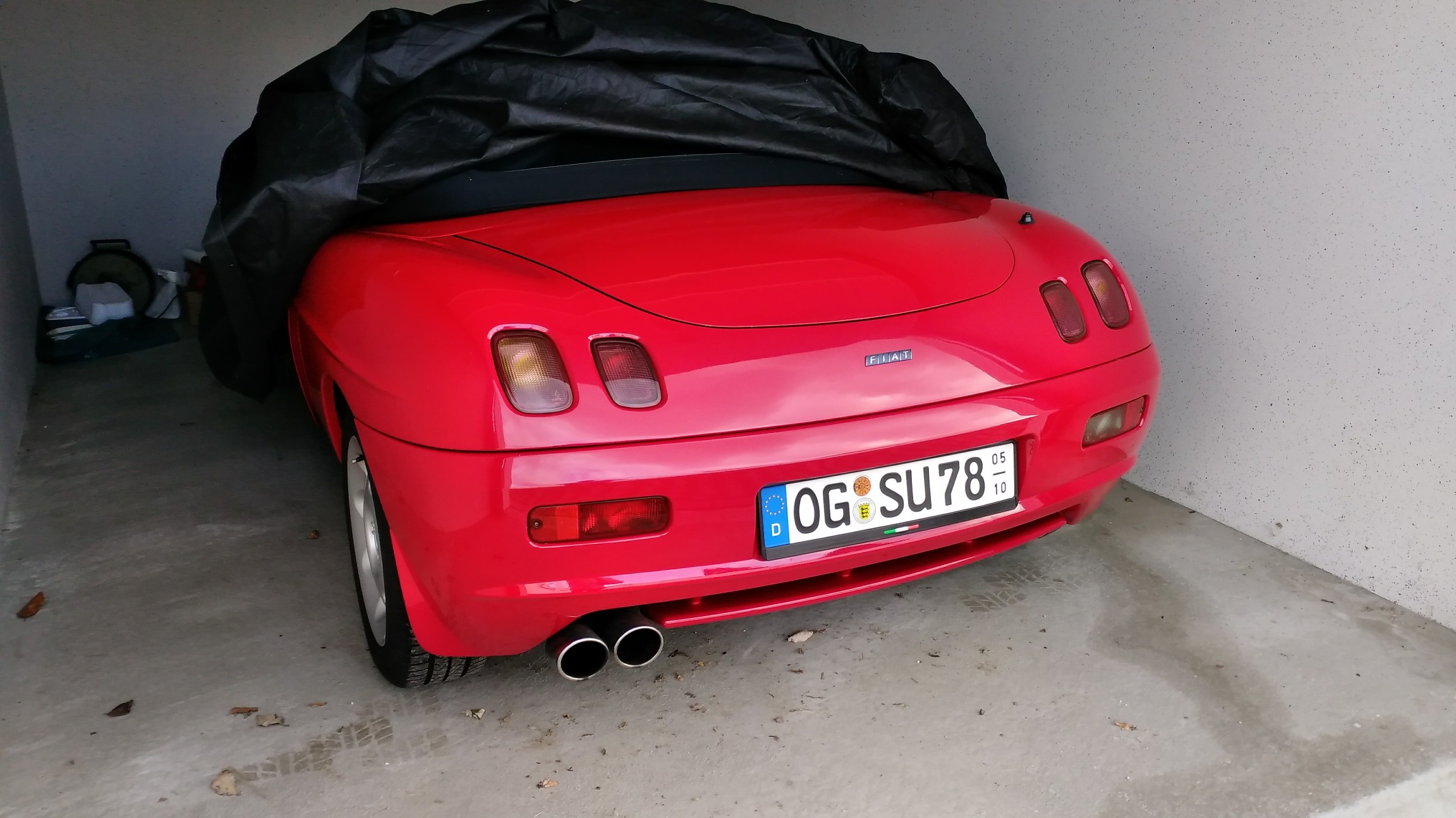 Meine Winterschläfer