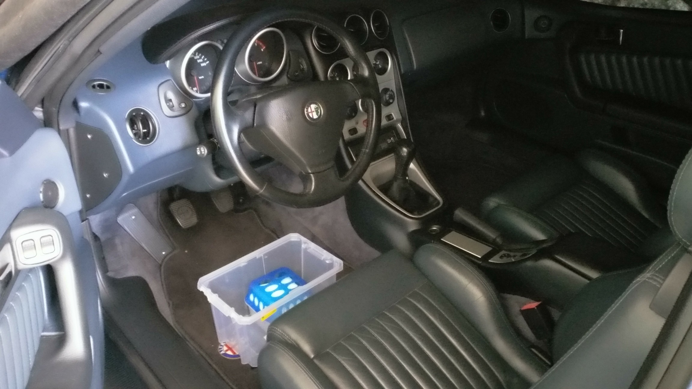 Meine Winterschläfer