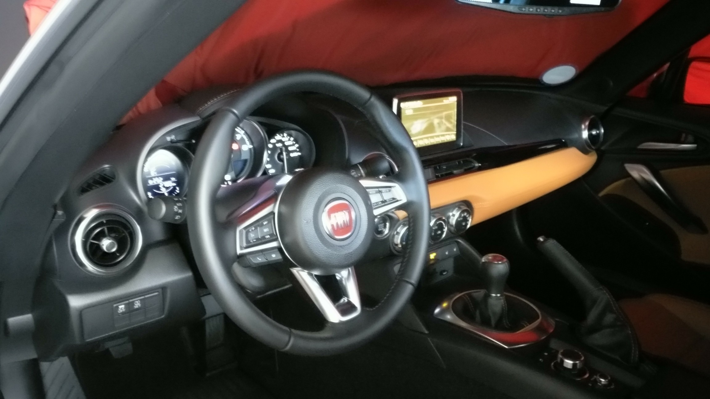 Meine Winterschläfer