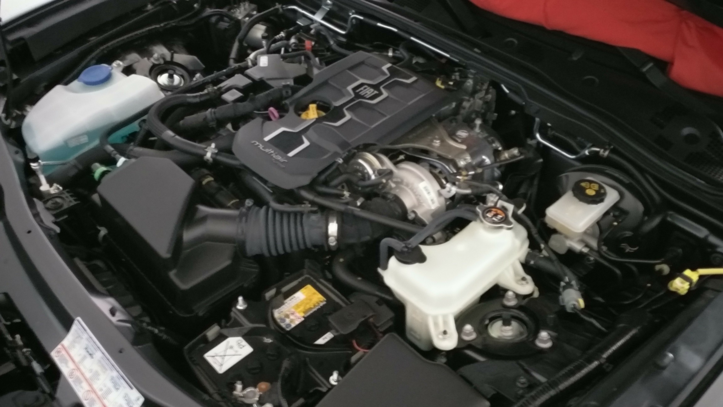 Meine Winterschläfer