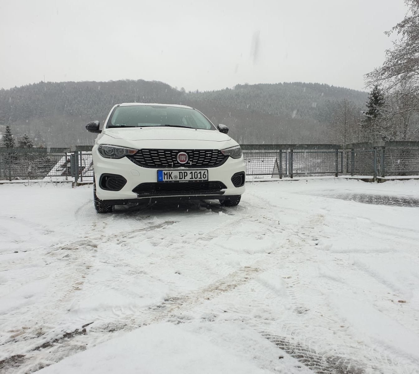 Tipo im Schnee spielen