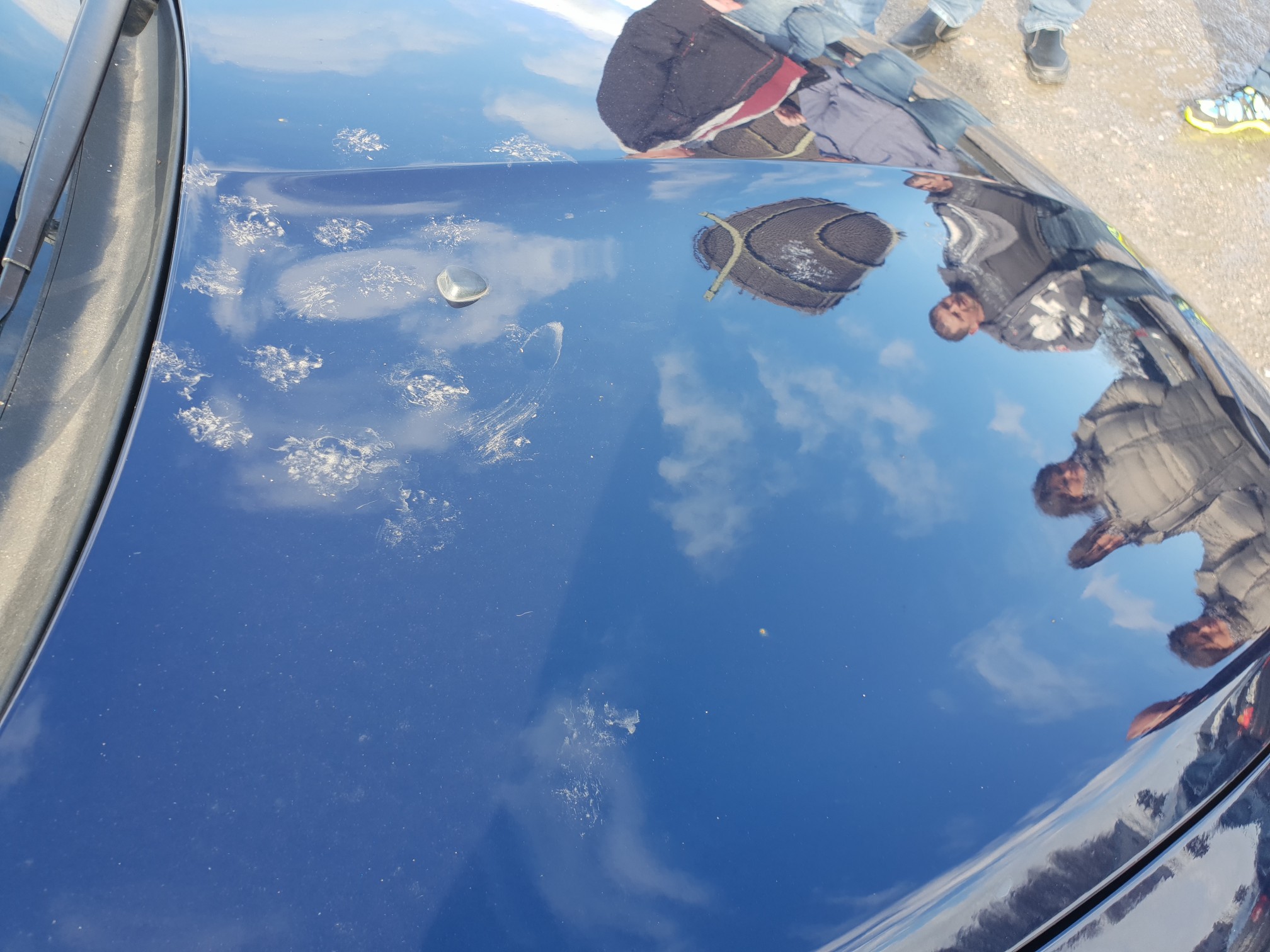 auch Katzen mögen Luigi...