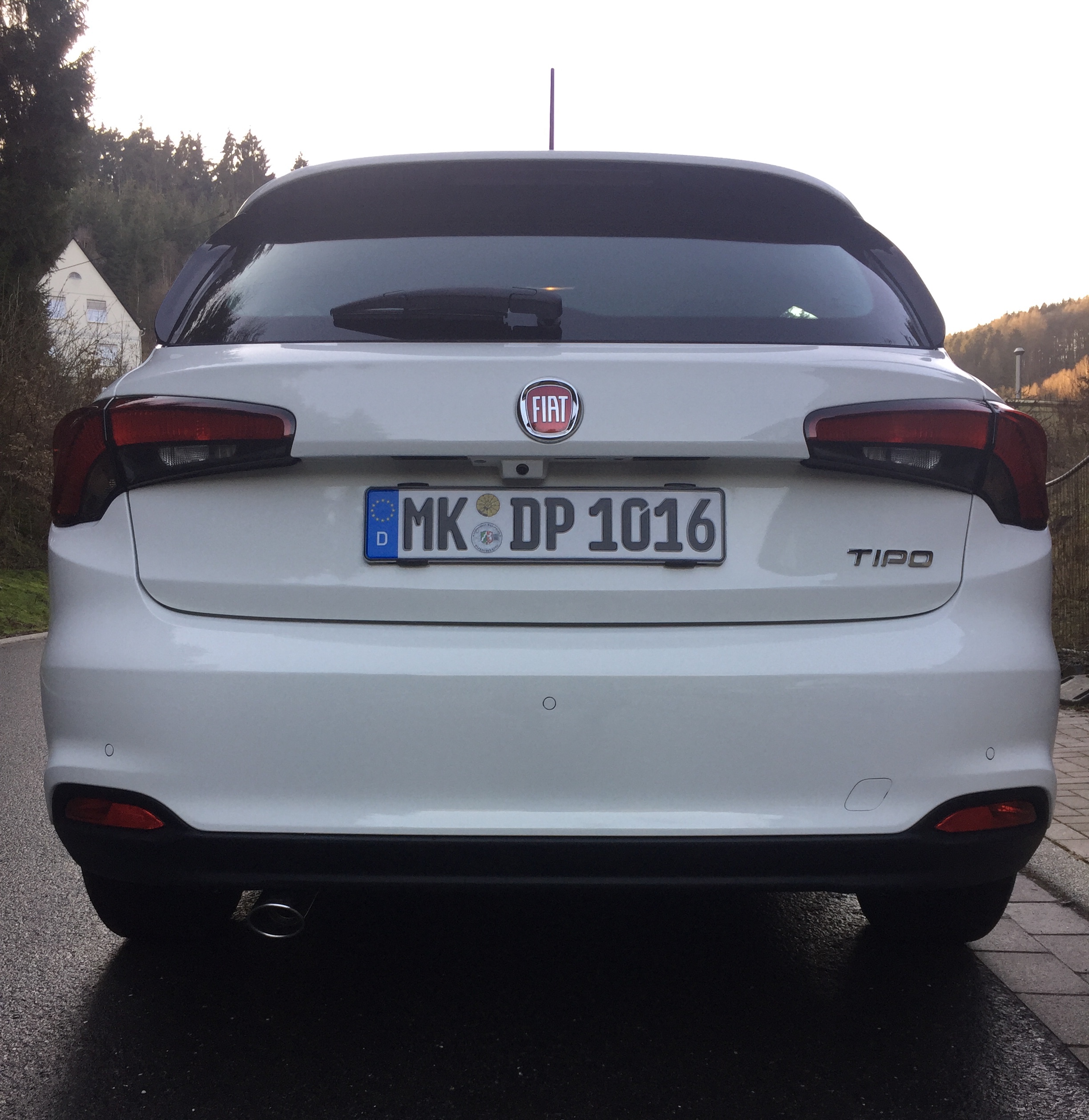 Tipo glänzt richtig 4 Std arbeit