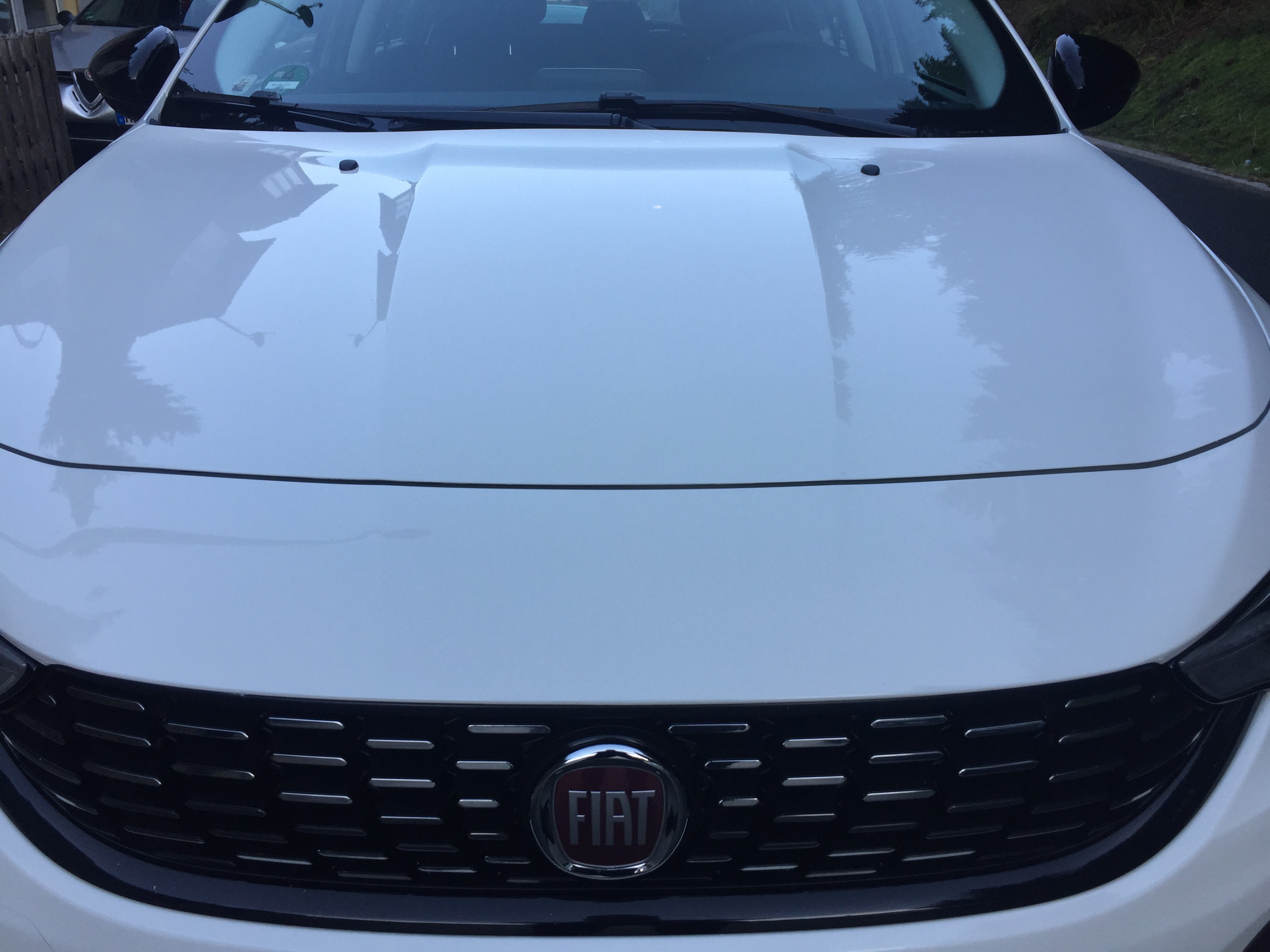 Tipo glänzt richtig 4 Std arbeit