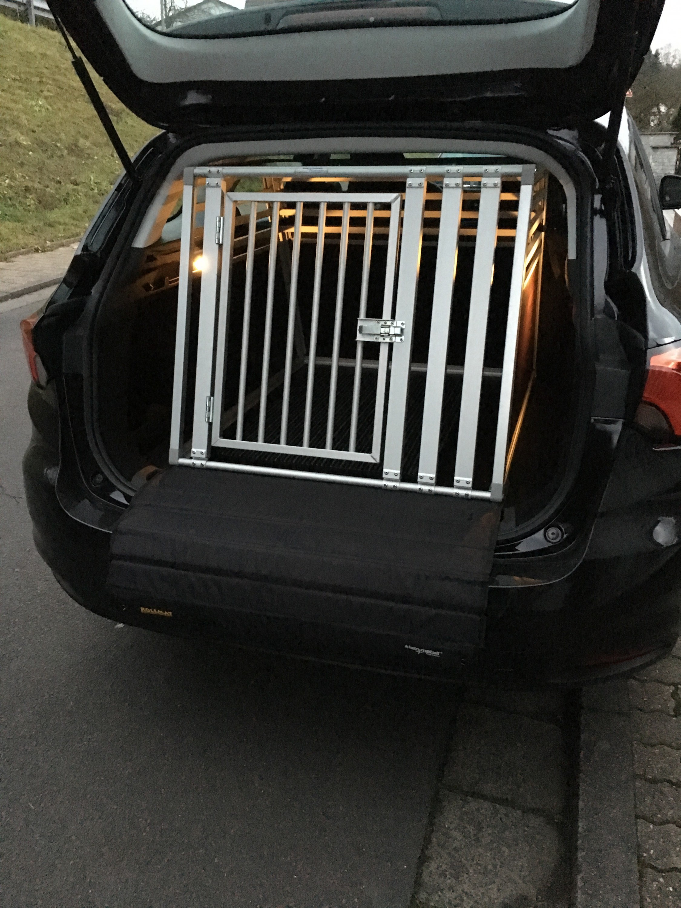 Tipo SW mit Hundebox