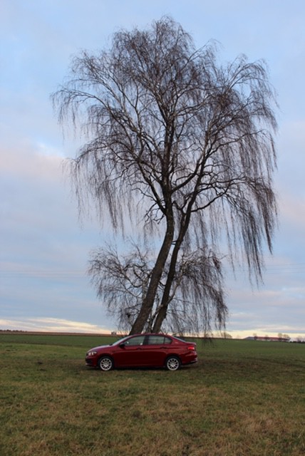 Dezember-Bauernhof-Stimmungen