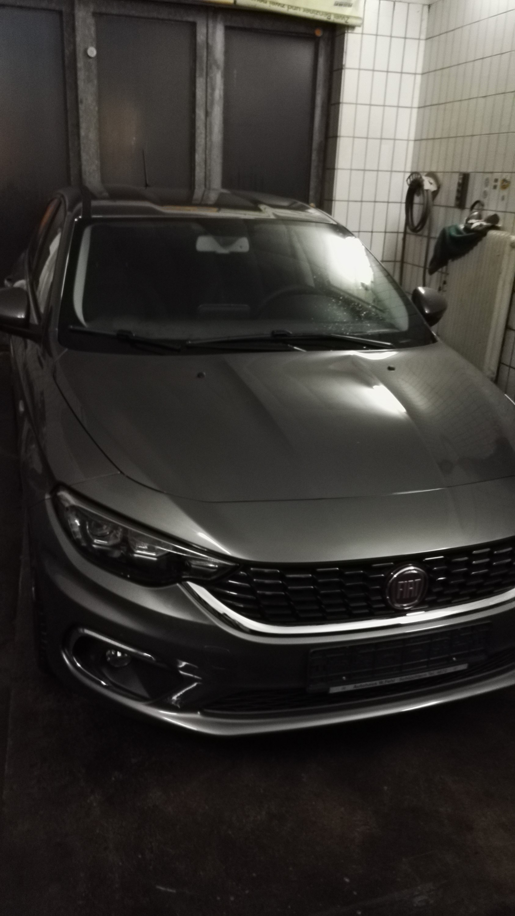 Das 1. Aufeinandertreffen .... es ist ein Junge