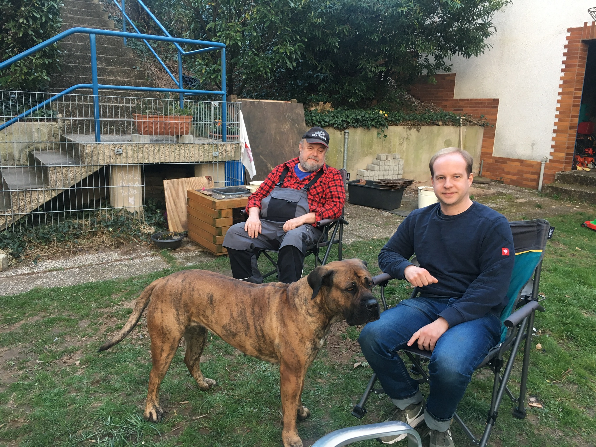 Stuhlkreis mit Tipo Hund Kira