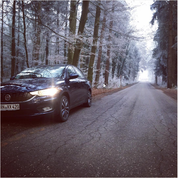 'Neptun' - Winter 2017