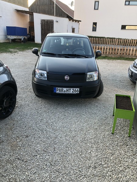 Bilder von Rambo(Panda 169)