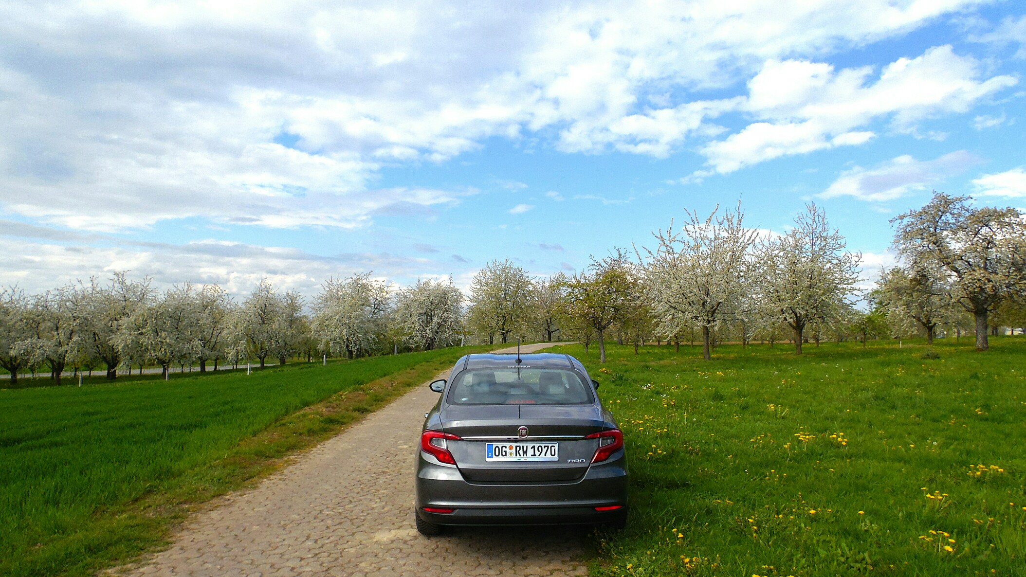 Kleines Limousinen Foto Shooting