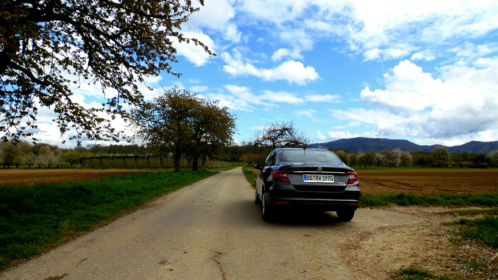 Kleines Limousinen Foto Shooting