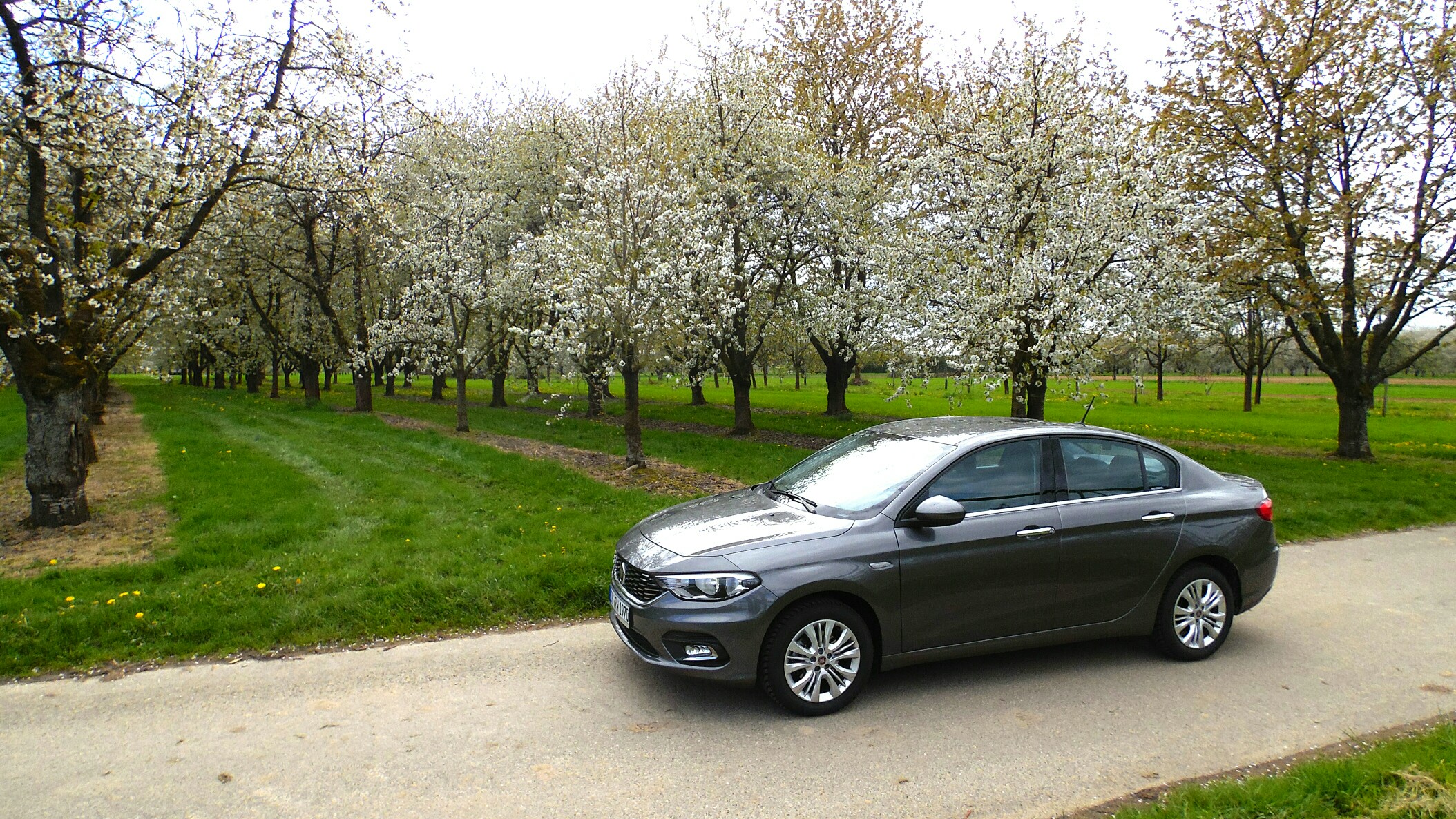 Kleines Limousinen Foto Shooting