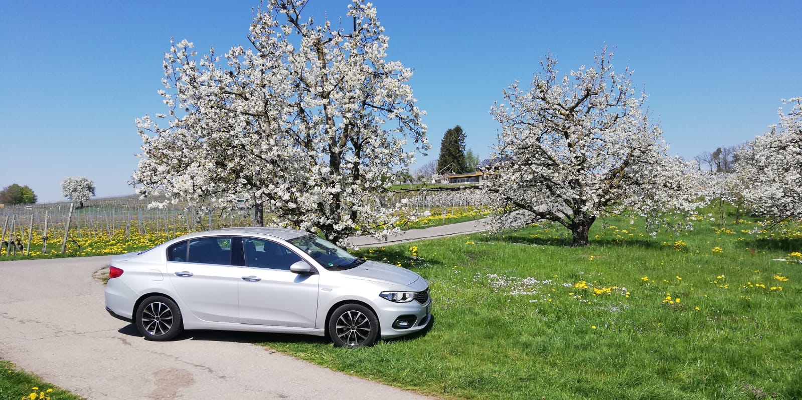 Osterausflug an den Bodensee