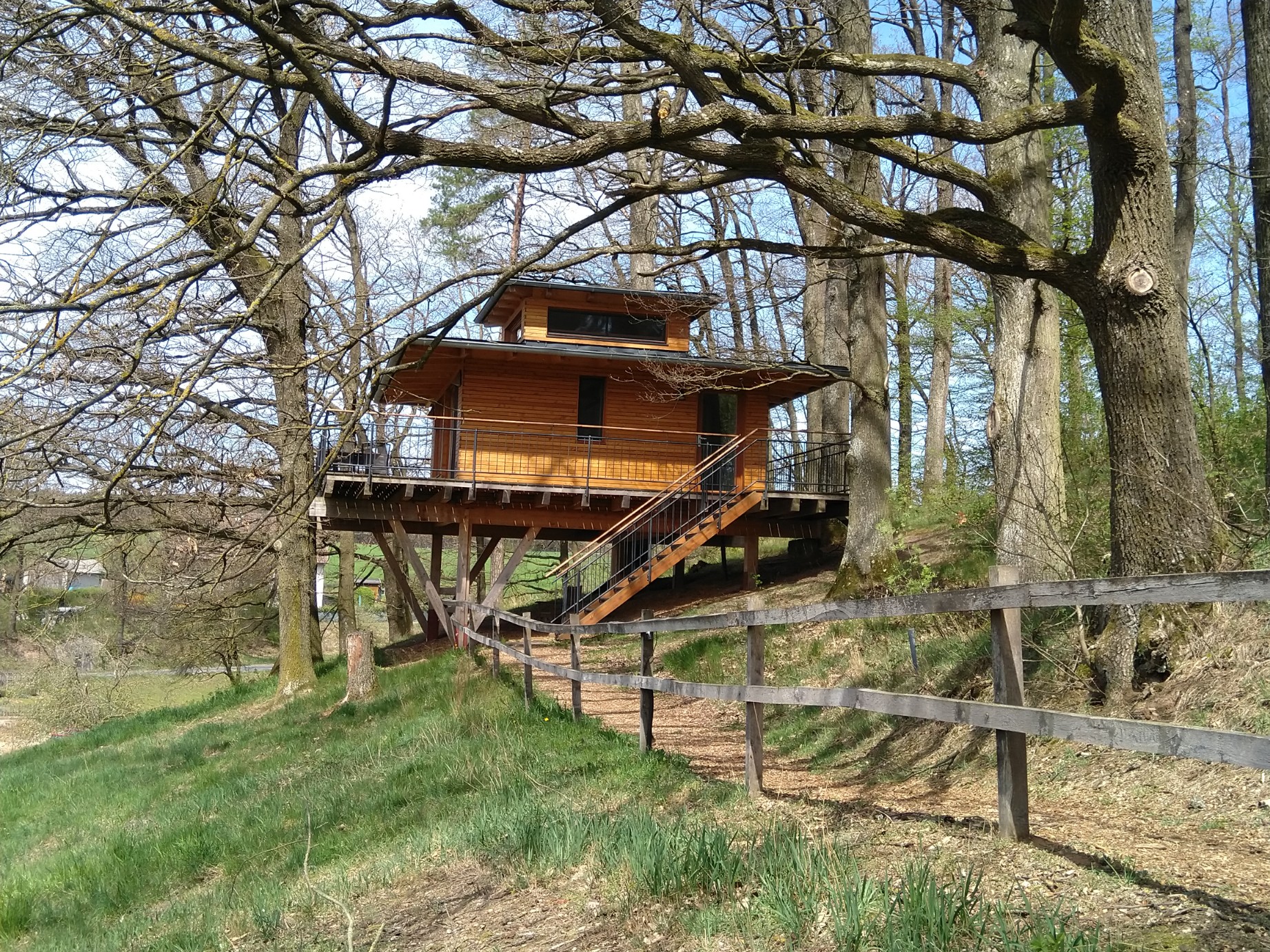 Baumhaus, Nähe Erlangen