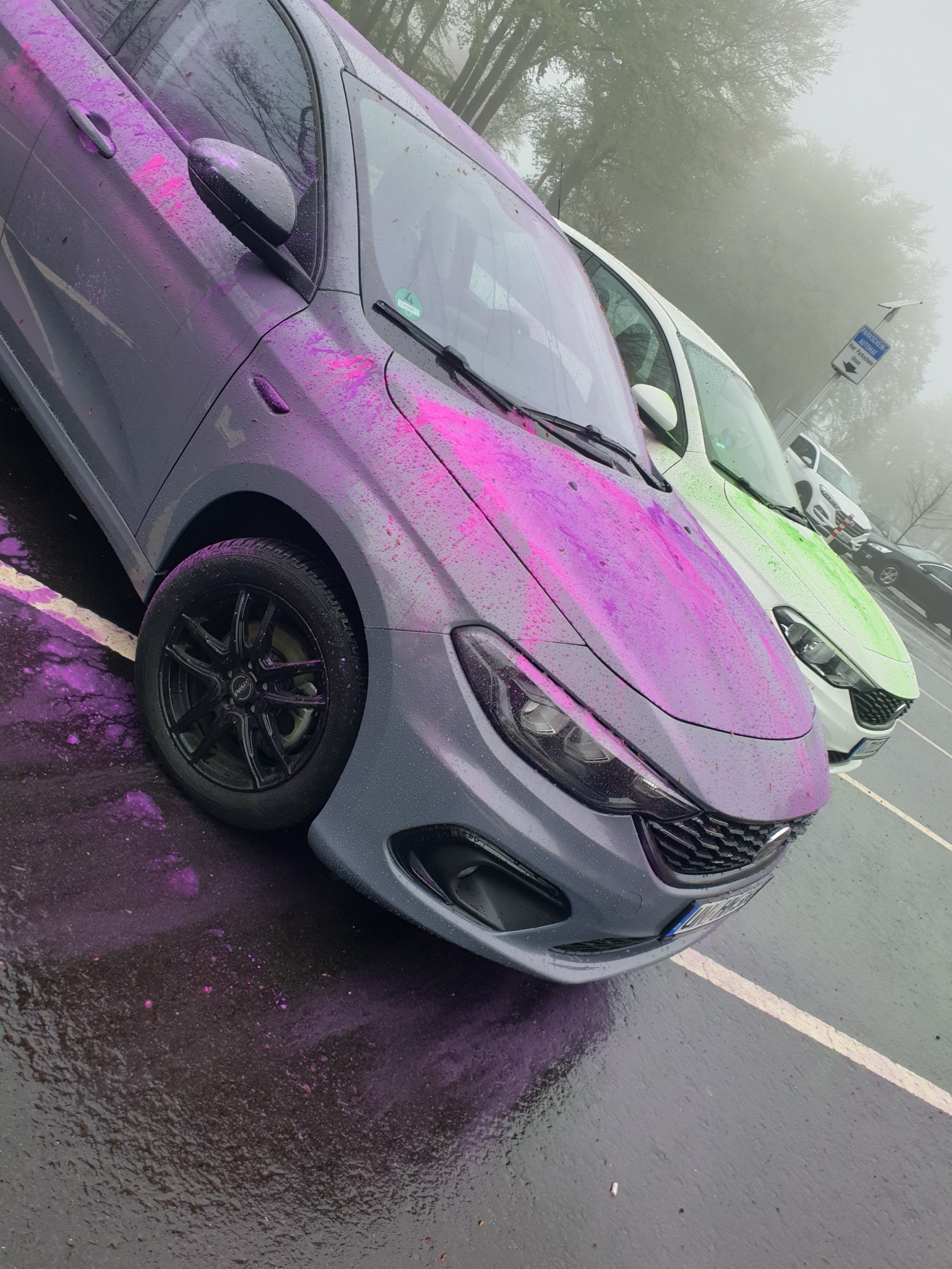 Schotten 2.0 mit Farbe