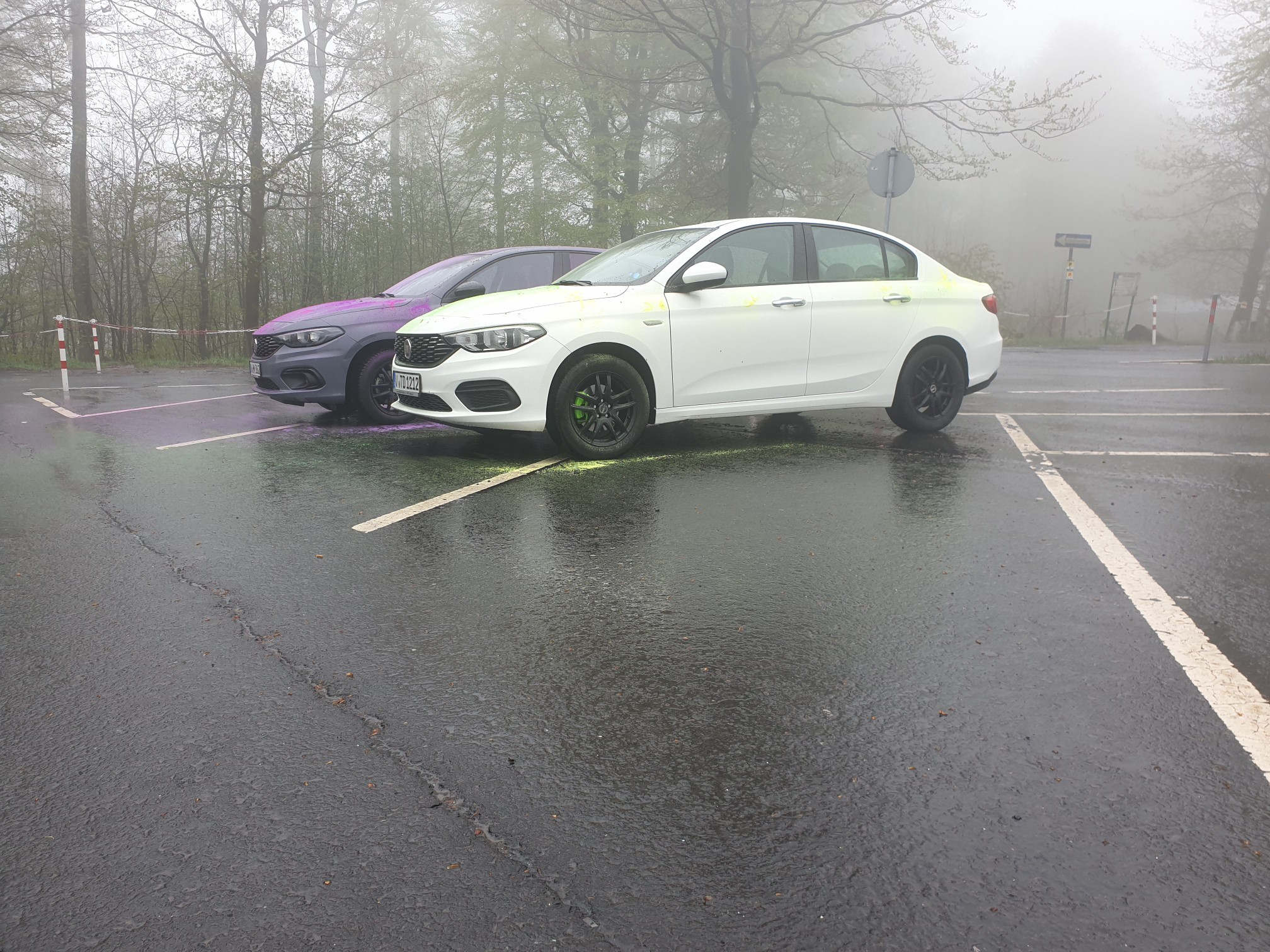 Schotten 2.0 mit Farbe