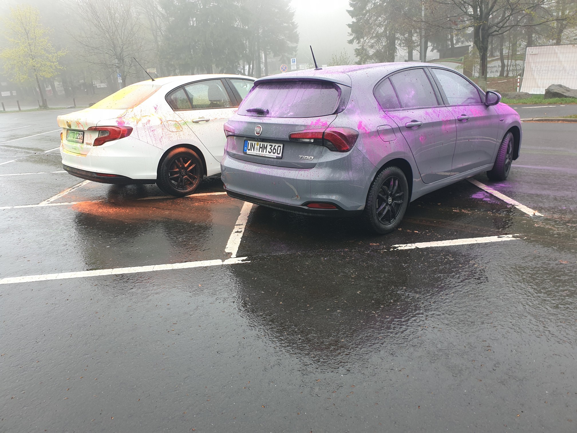 Schotten 2.0 mit Farbe