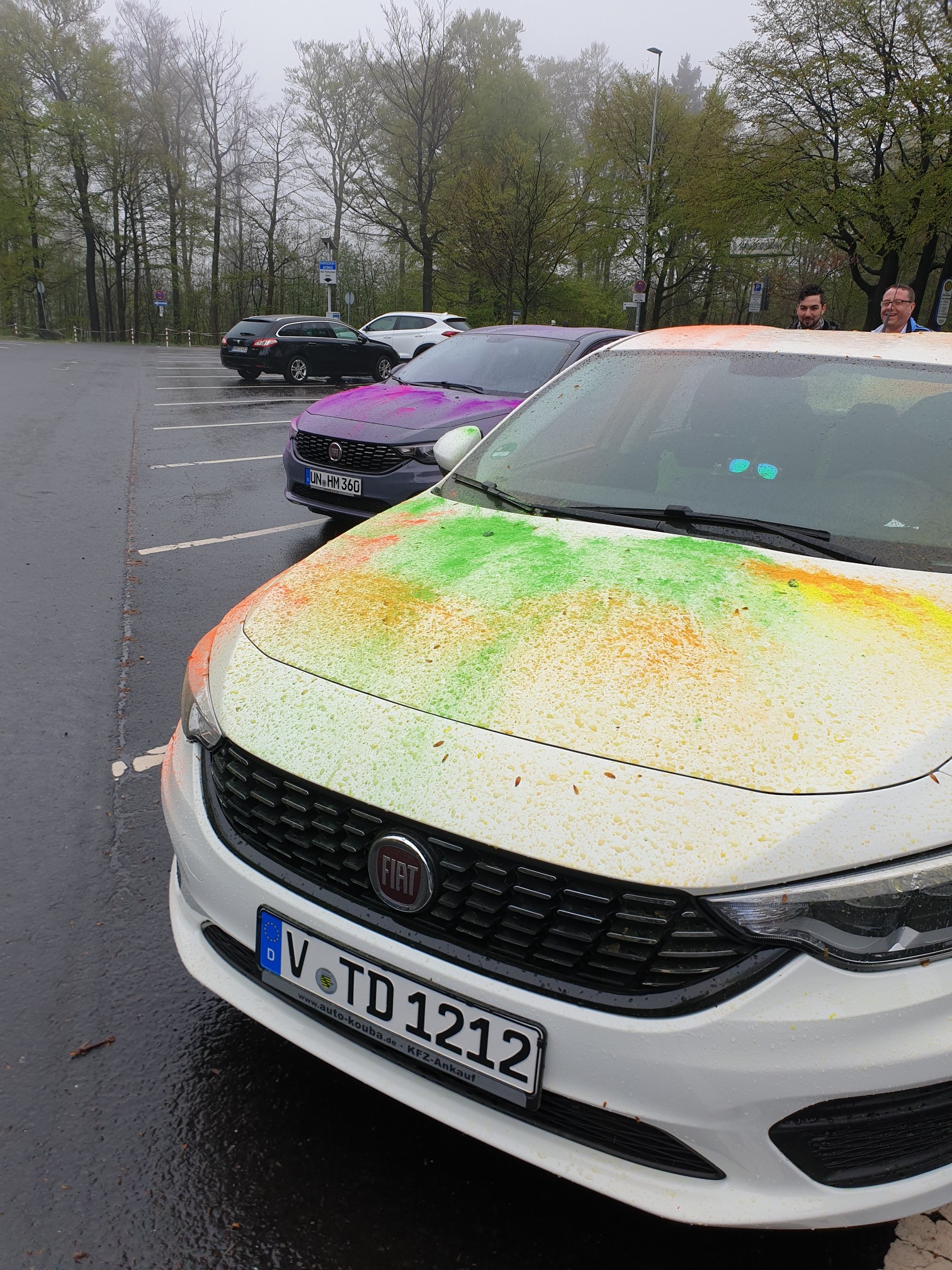 Schotten 2.0 mit Farbe