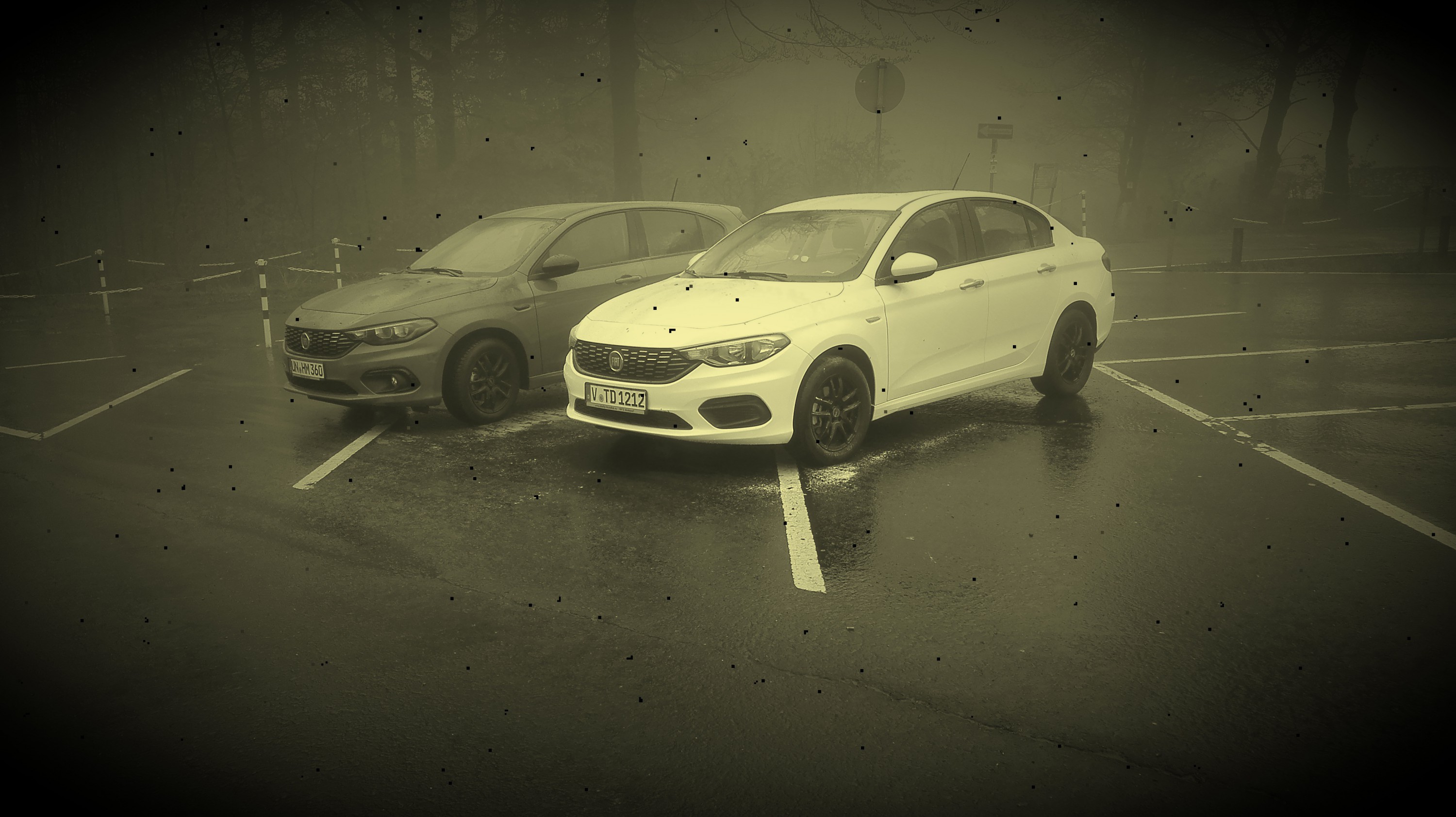 Zweisamkeit statt Einsamkeit