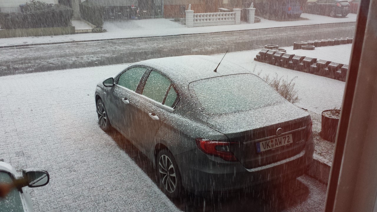 Tipo mit Puderzucker