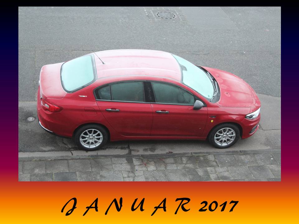 "Privater" TIPO-Kalender 2017