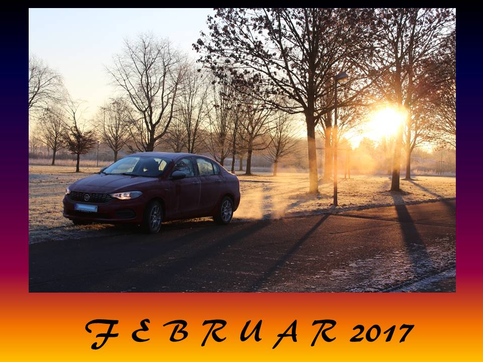 "Privater" TIPO-Kalender 2017