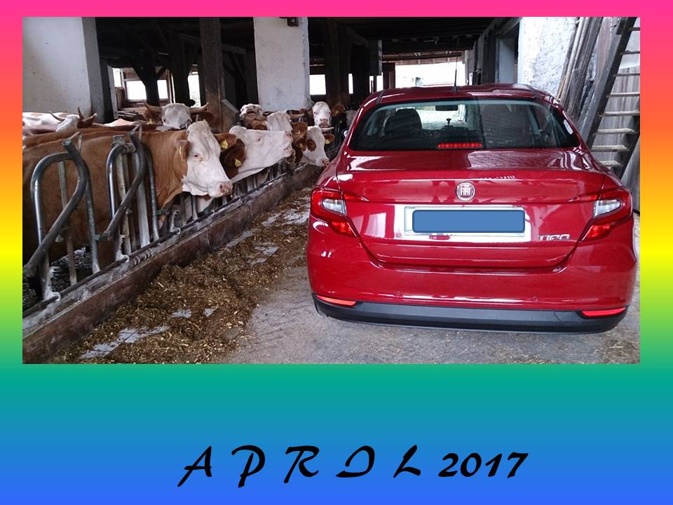 "Privater" TIPO-Kalender 2017