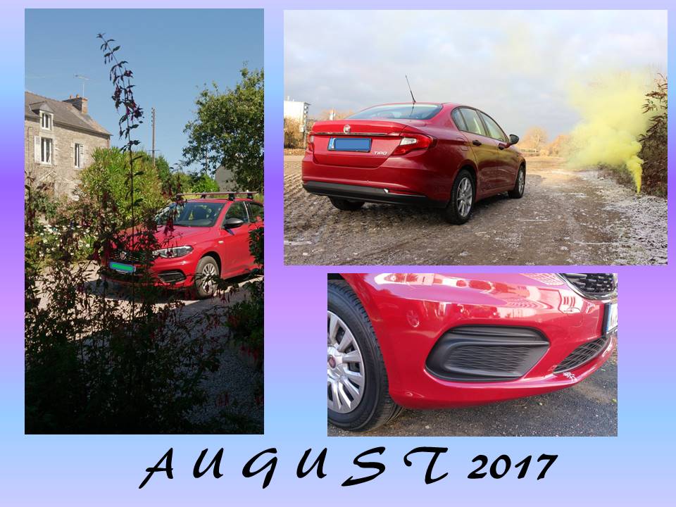 "Privater" TIPO-Kalender 2017