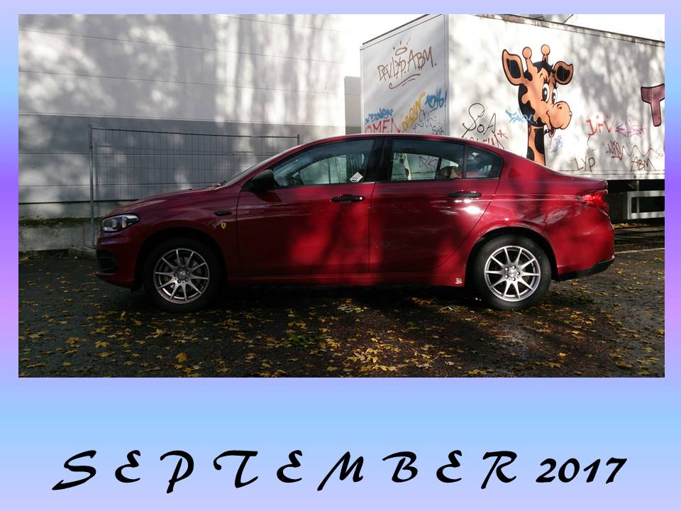 "Privater" TIPO-Kalender 2017