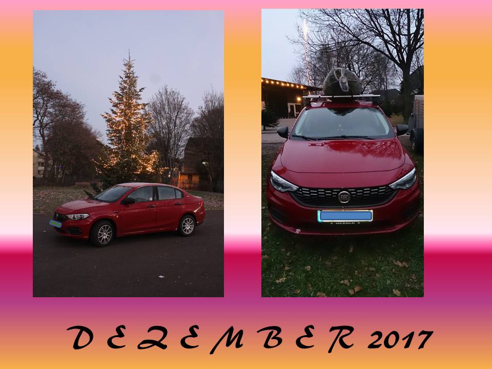 "Privater" TIPO-Kalender 2017